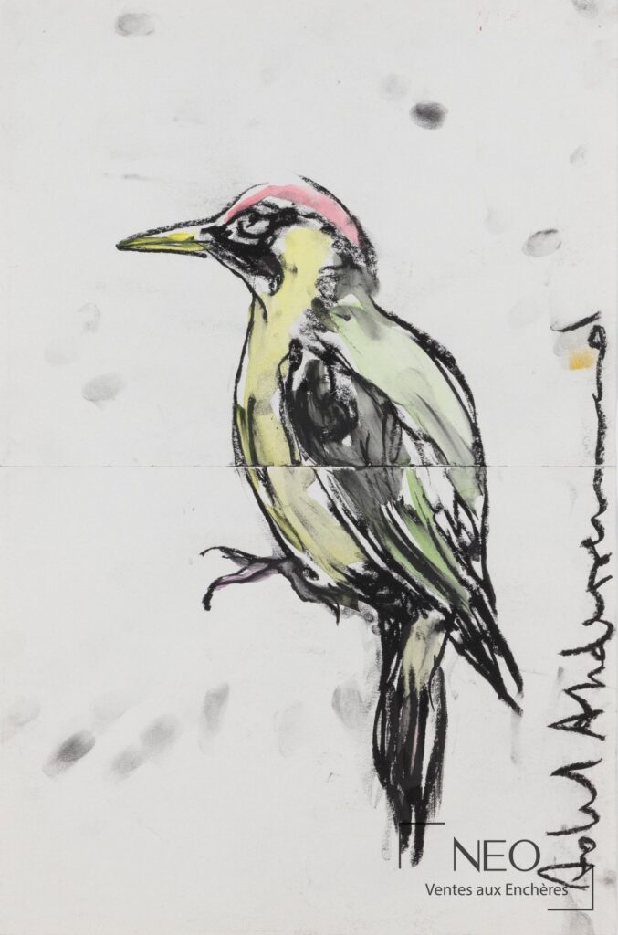 Dessin d’oiseau d’Adel Abdessemed au fusain et touches de couleur sur papier