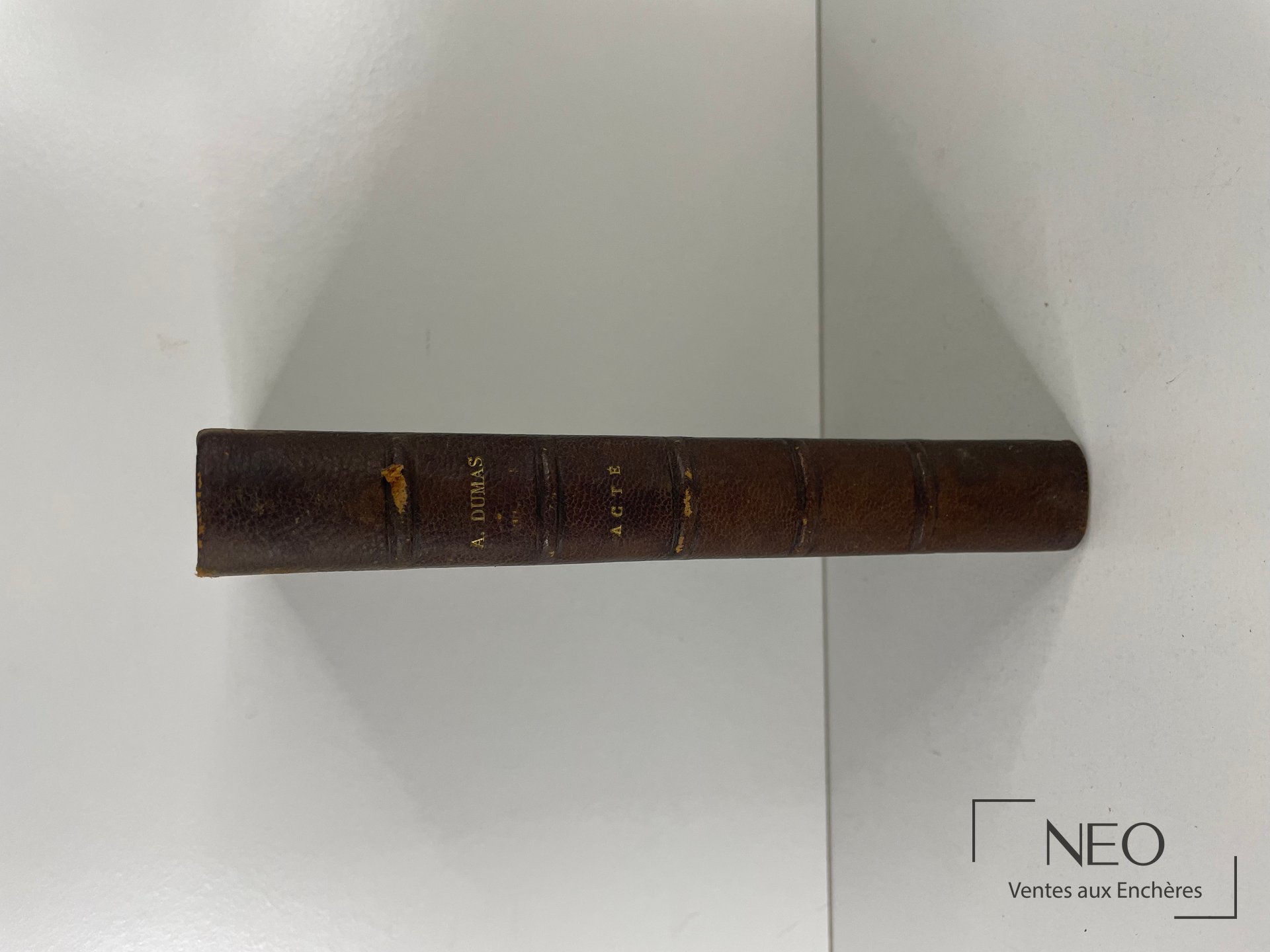 Dos d'un livre relié en demi chagrin