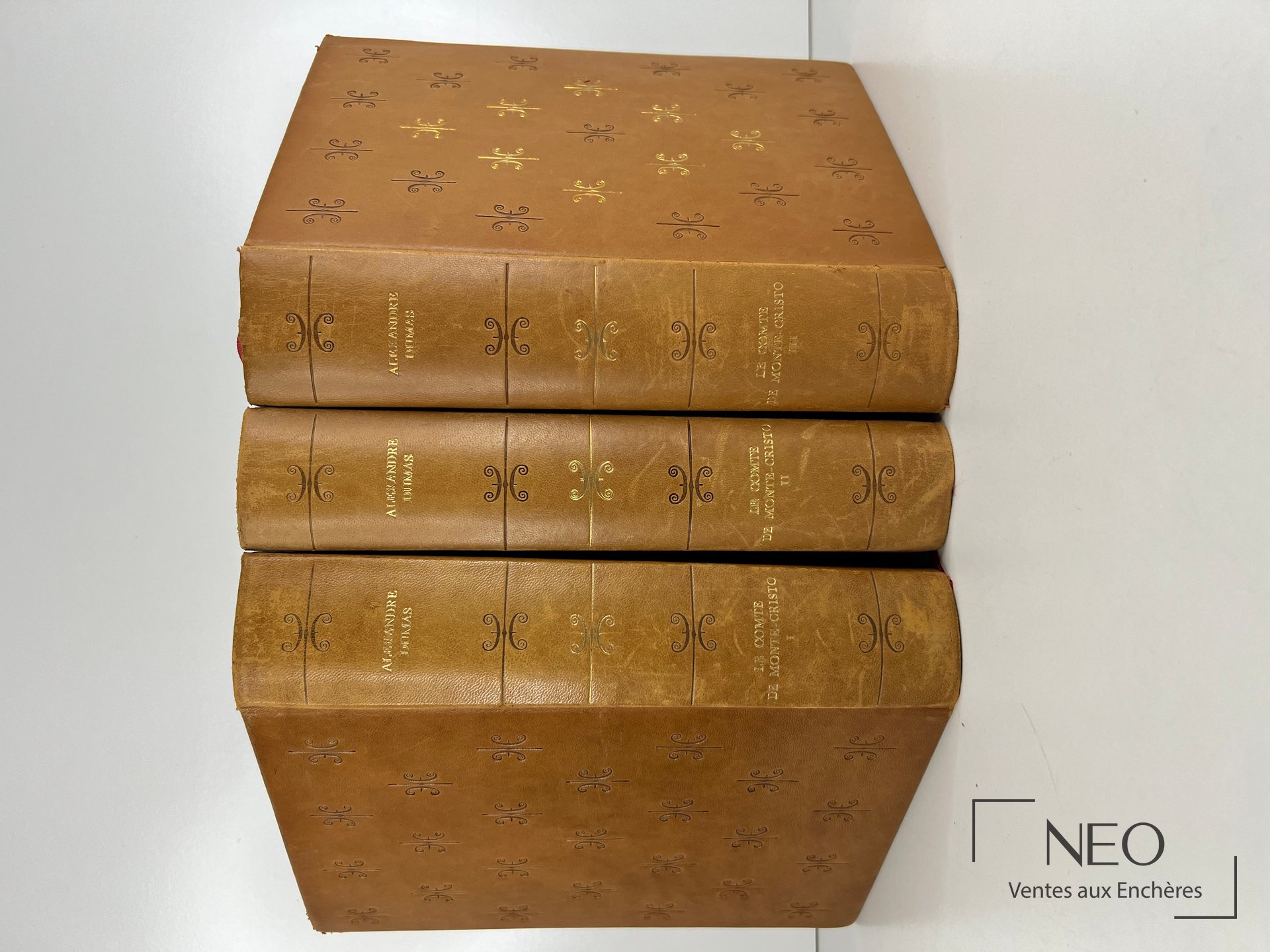 Trois volumes reliés en cuir brun avec titres dorés sur les dos.