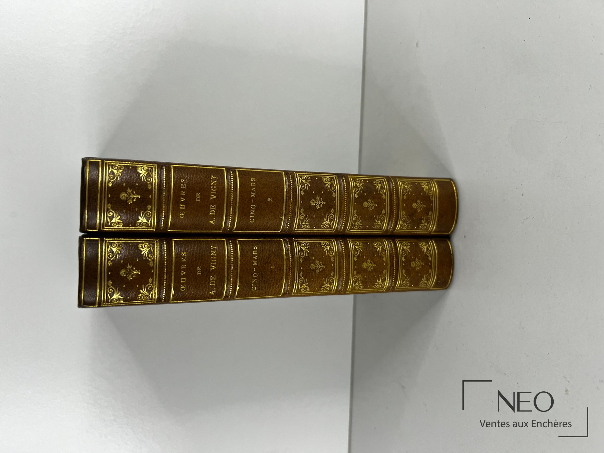 Deux volumes reliés avec dos ornés de motifs dorés