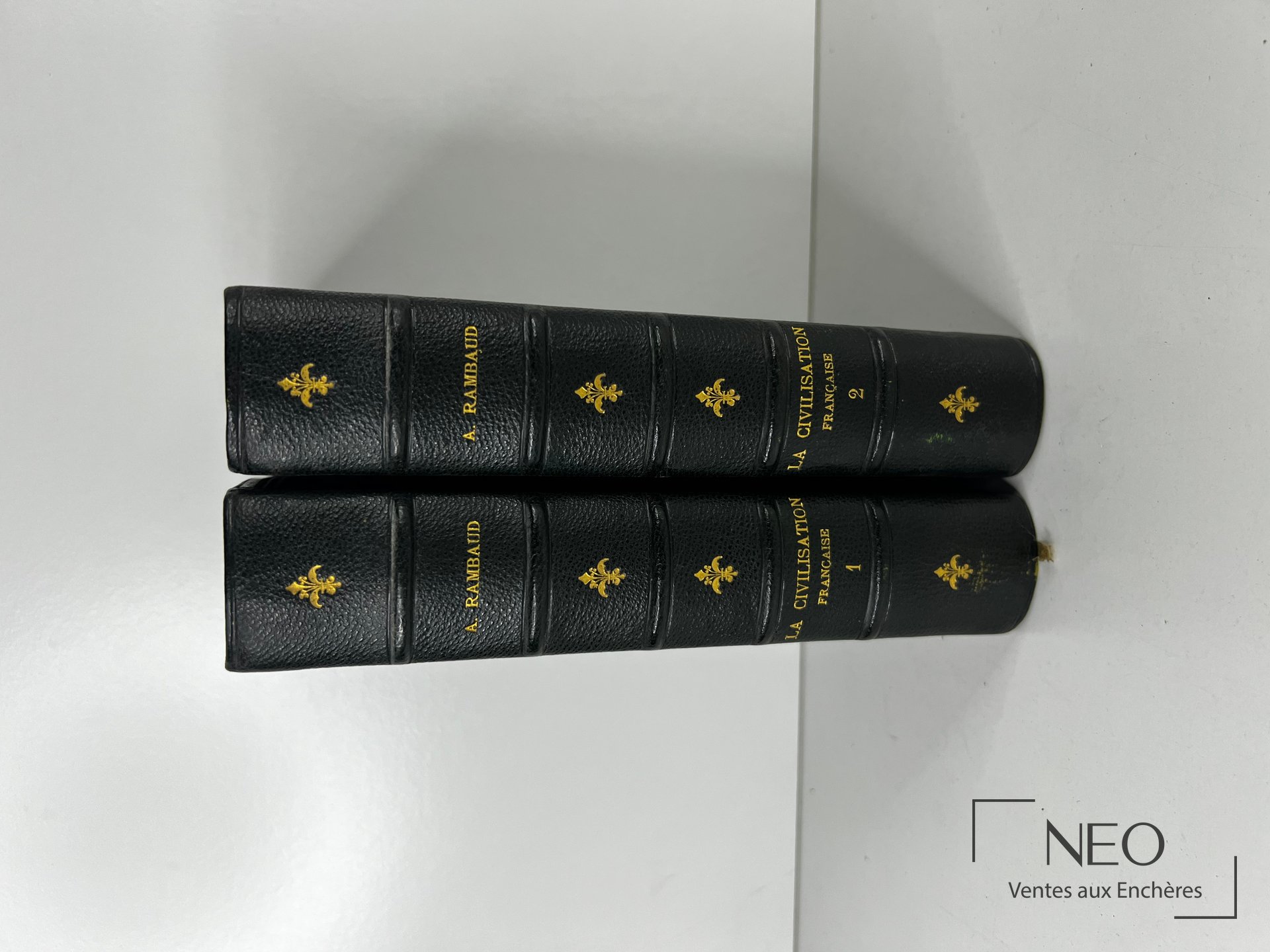 Deux volumes reliés en chagrin noir avec dos ornés de dorures