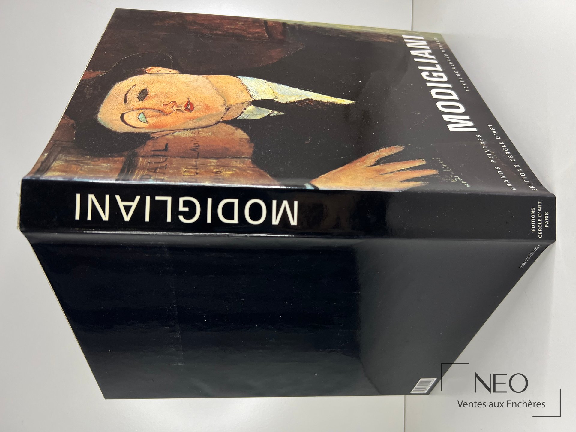 Couverture illustrée du livre Modigliani d'Alfred Werner