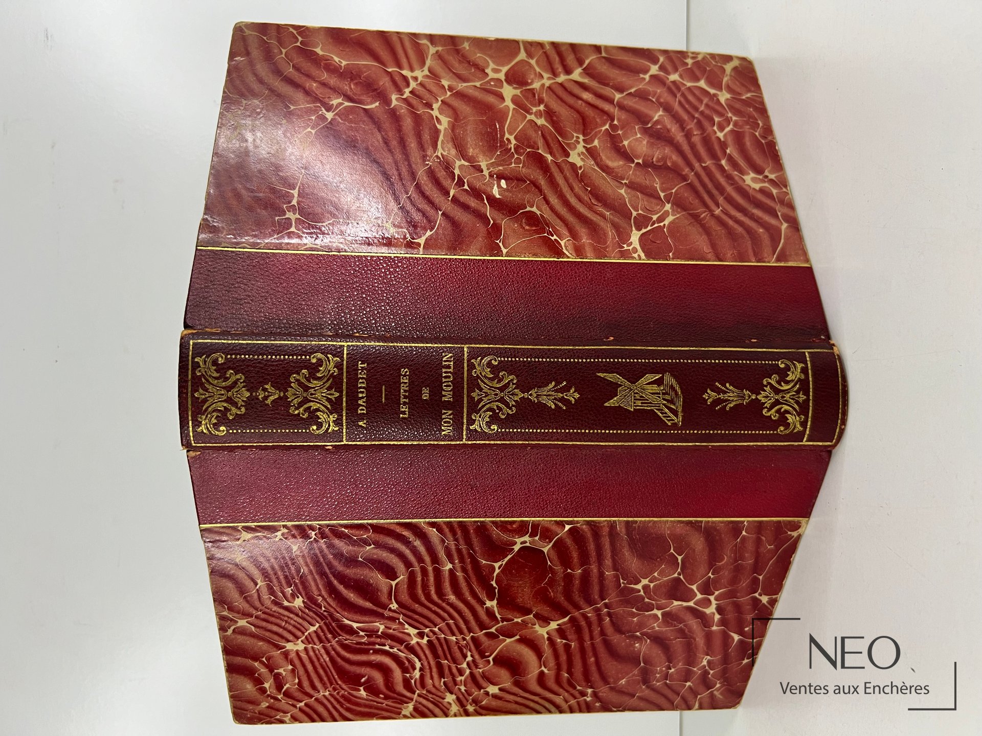 Dos et plat d'un livre relié en maroquin marbré rouge et bordeaux