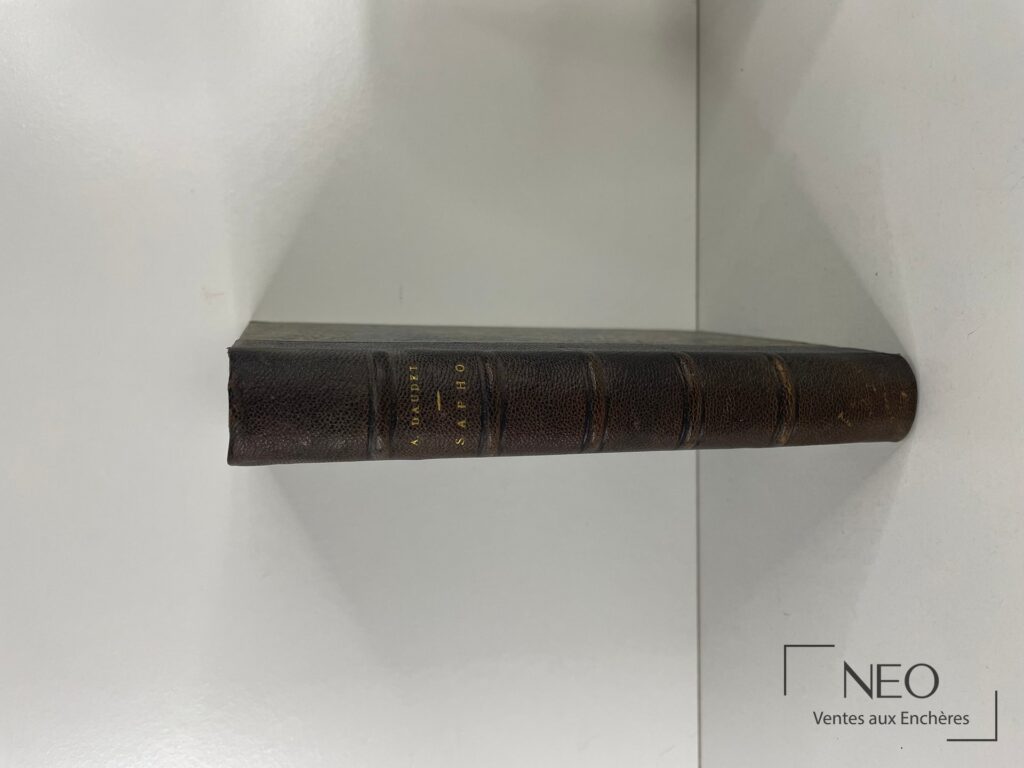 Dos d’un livre en demi chagrin brun