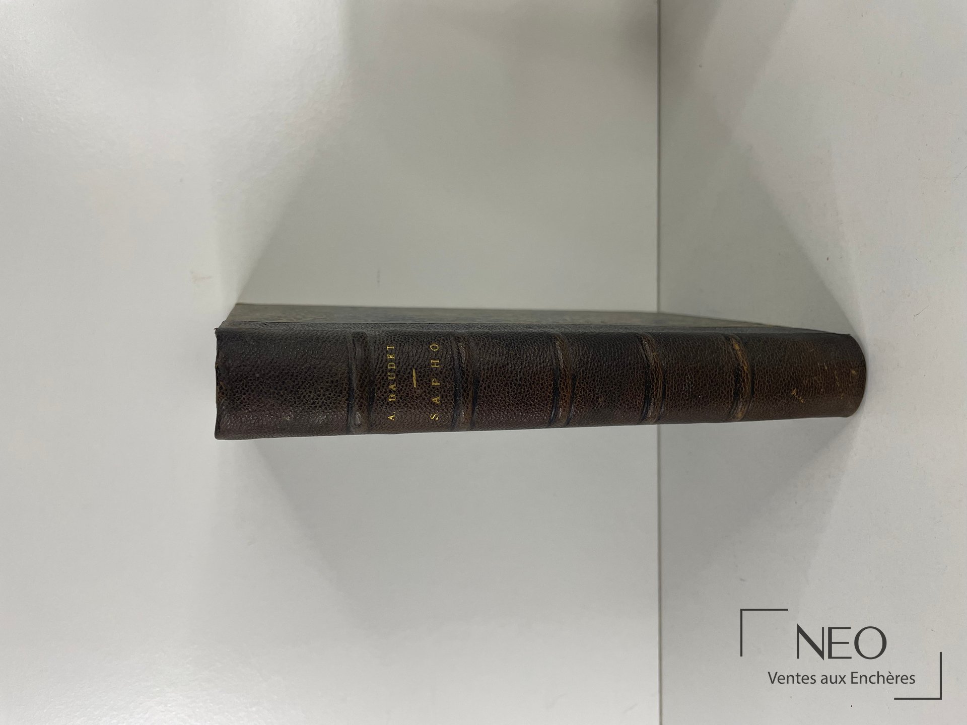 Dos d’un livre en demi chagrin brun