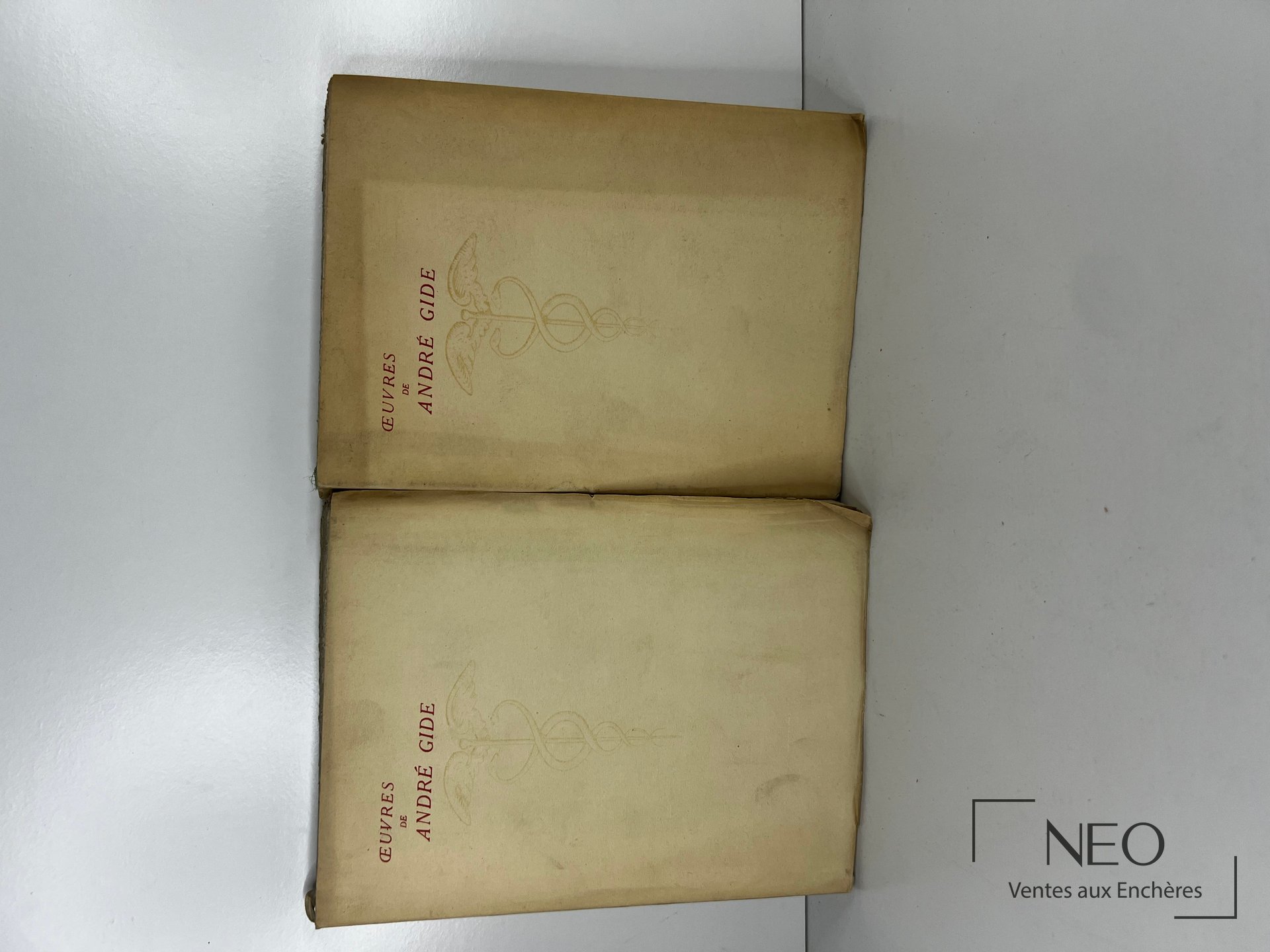 Deux volumes brochés d’André Gide