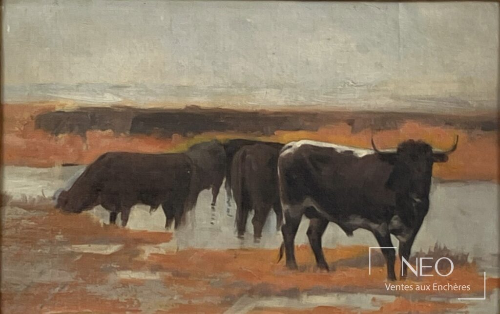 Taureaux en Camargue