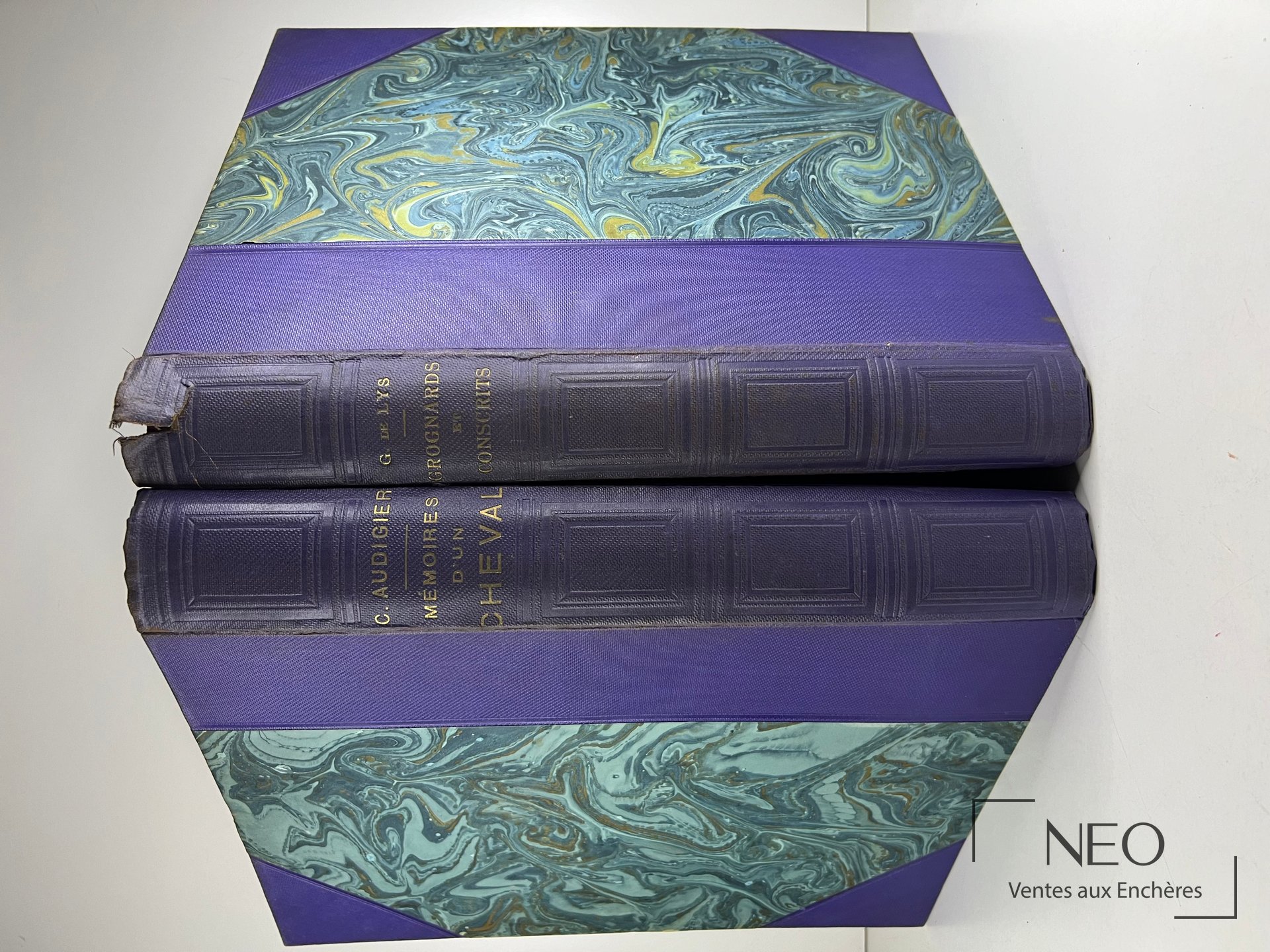 Deux volumes reliés aux plats marbrés violets et verts