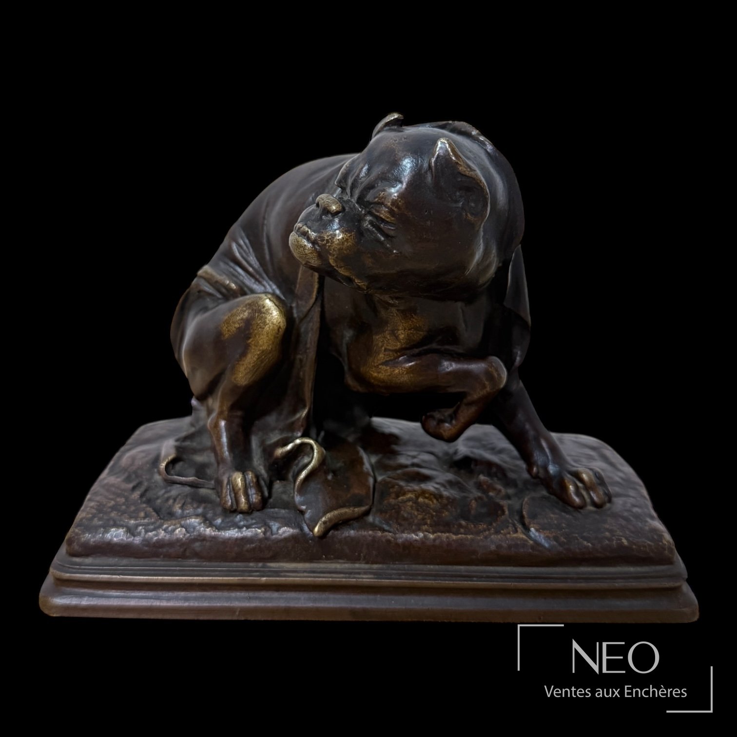 Auguste Louis Lalouette Bouledogue, épreuve en bronze à patine médaille