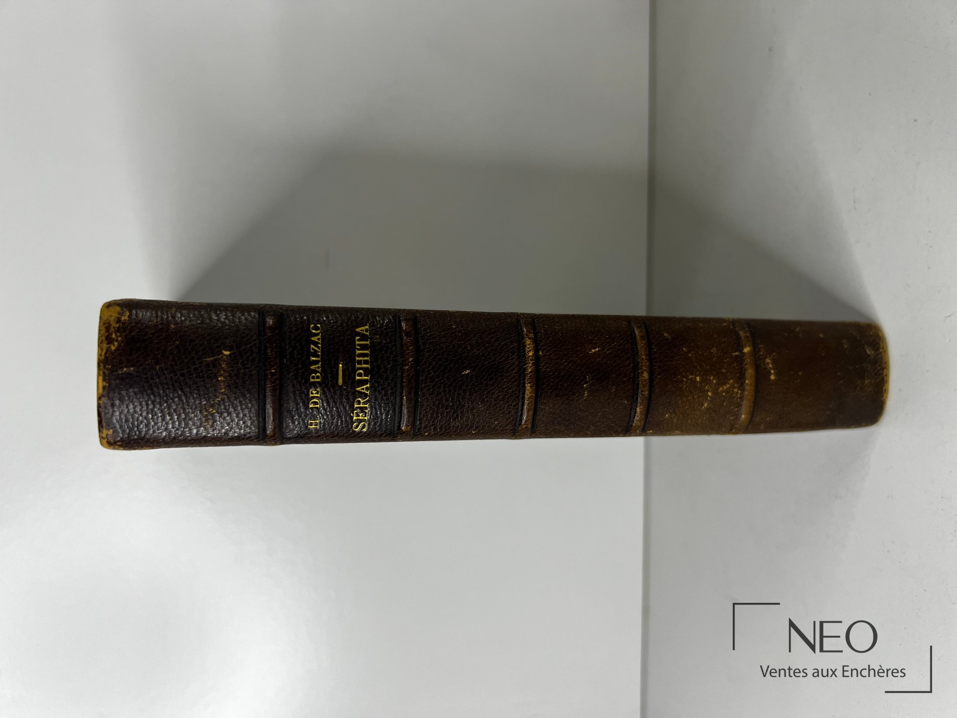 Dos d'un livre relié en demi chagrin