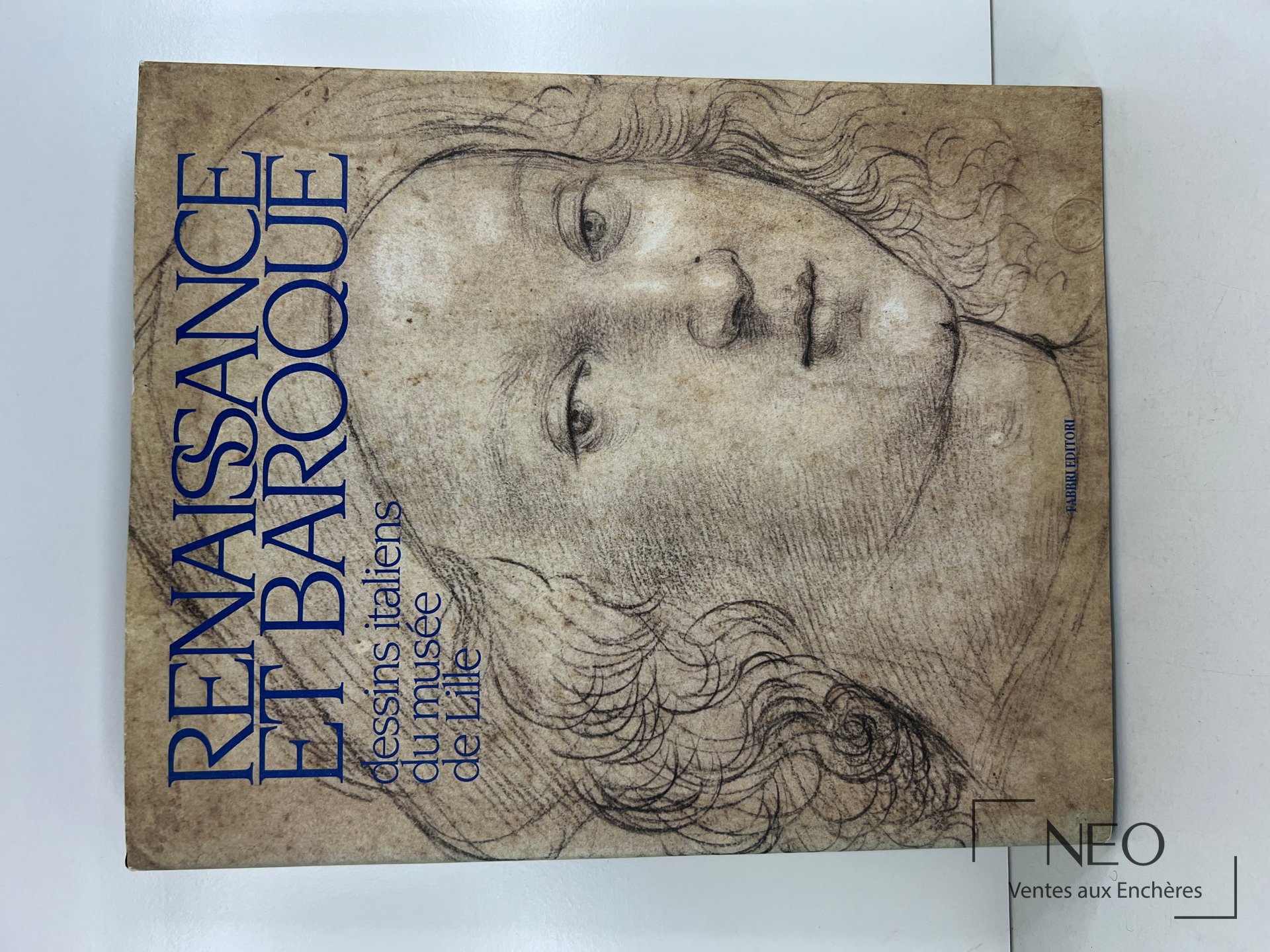 Couverture illustrée du livre Renaissance Et Baroque de Barbara Brejon de Lavergnée