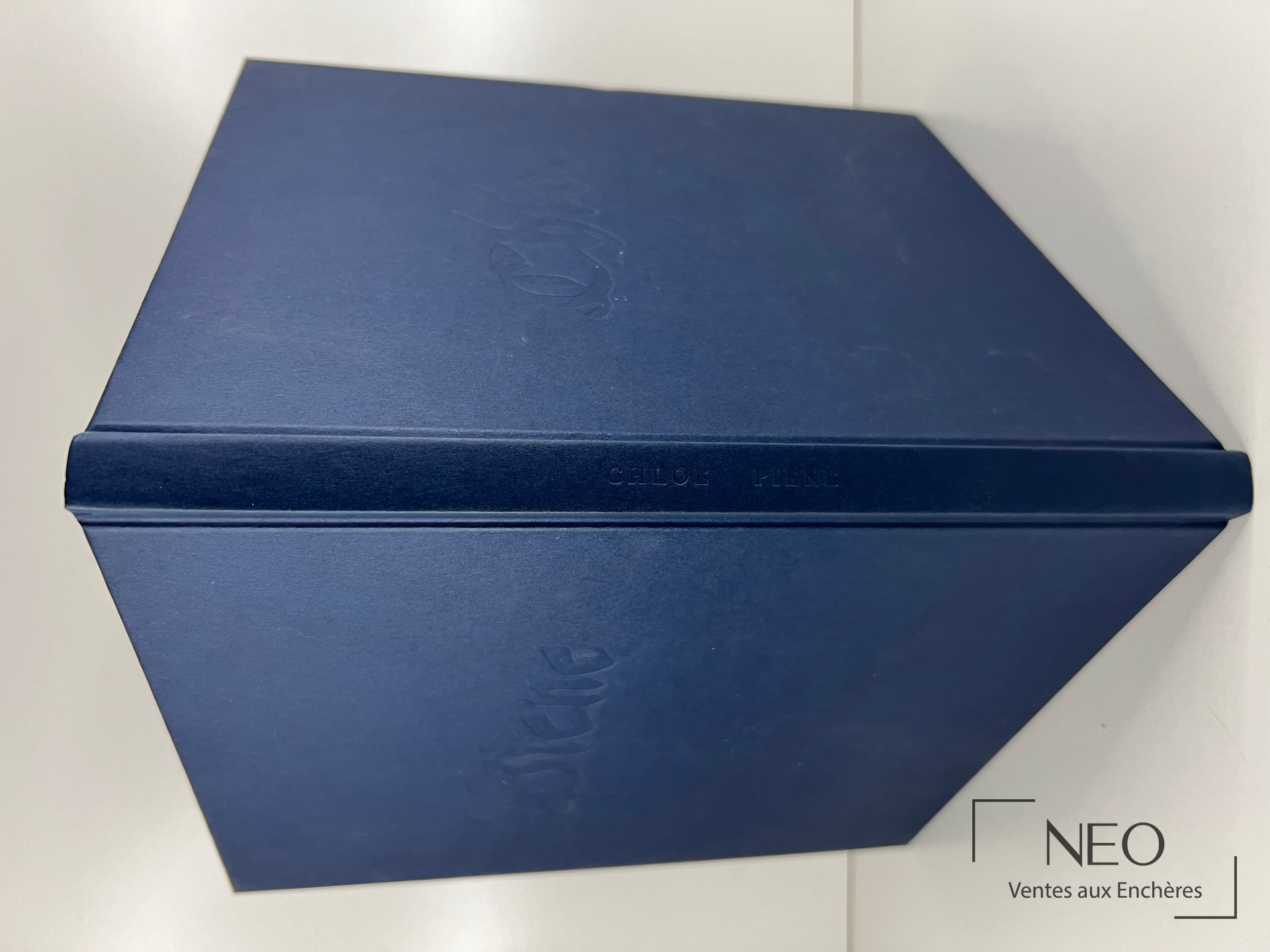 Couverture en toile bleue d'un livre d'art avec titre doré sur le dos