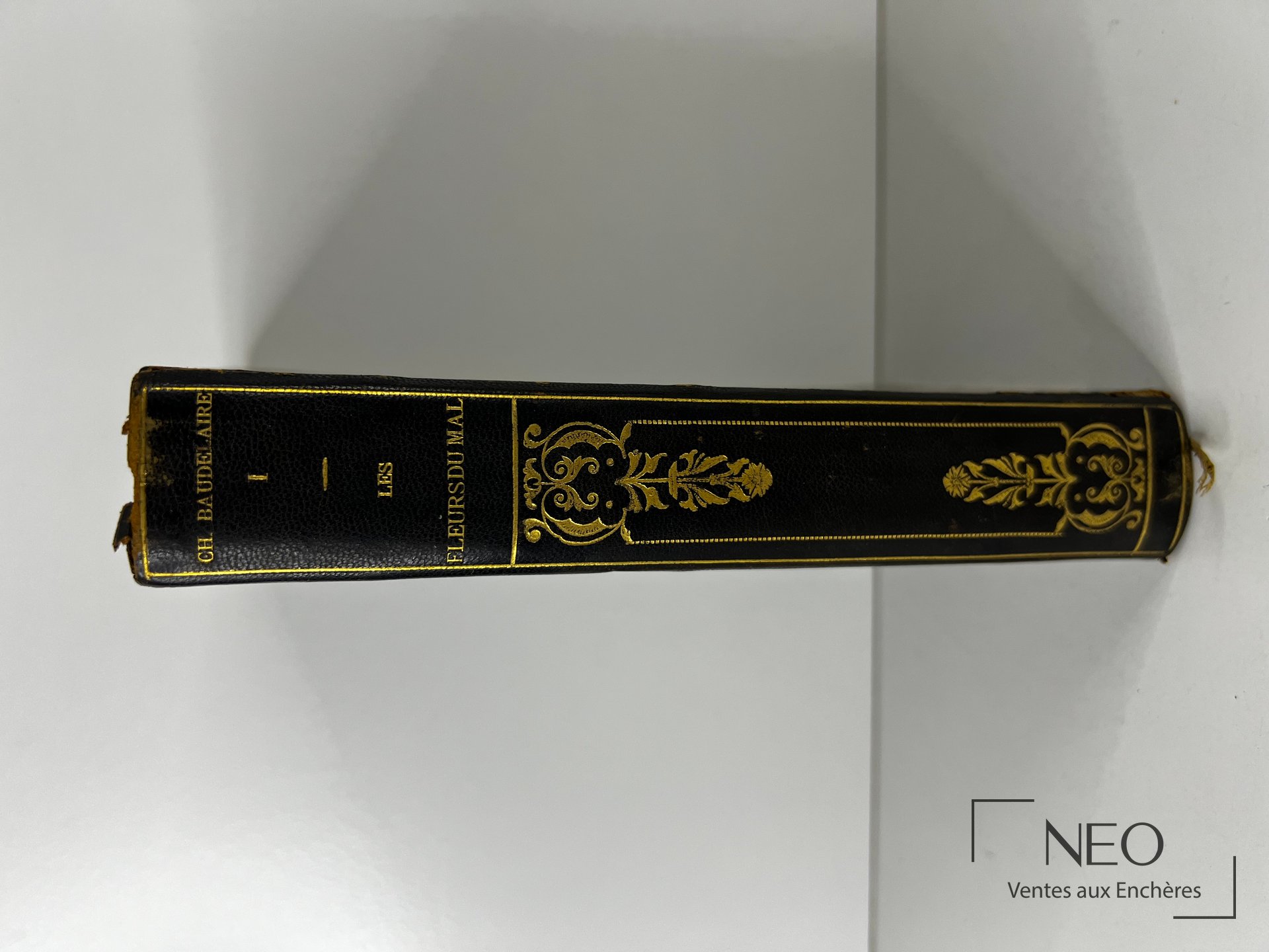 Dos de la reliure en chagrin noir avec titres dorés et décor à l'or