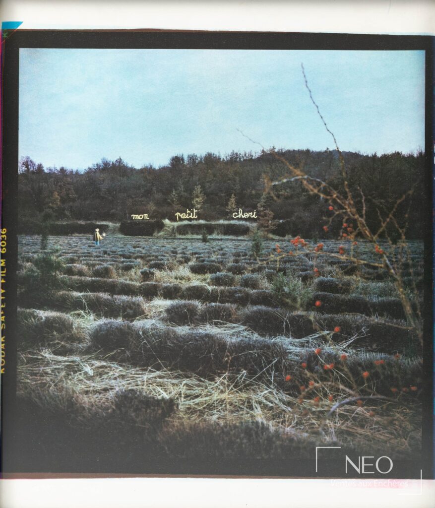 Photographie de Bernard Faucon montrant un paysage avec l'inscription Mon petit chéri au loin