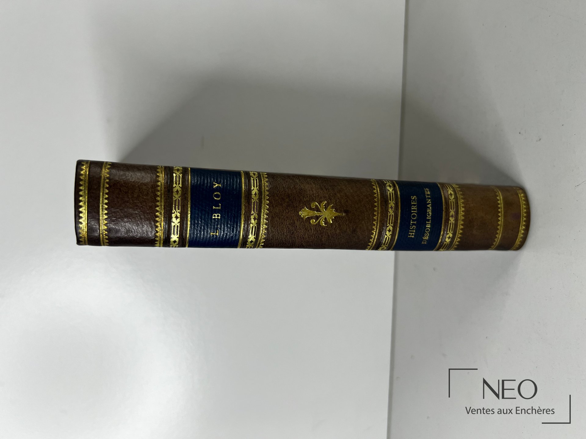 Dos d'un livre relié en demi basane avec titres dorés et décor de fers