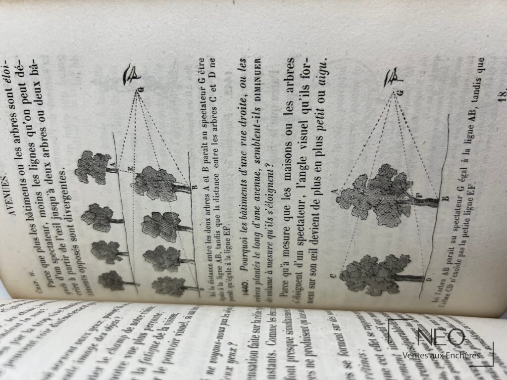 Page illustrée ouverte avec texte en français et schémas d’arbres
