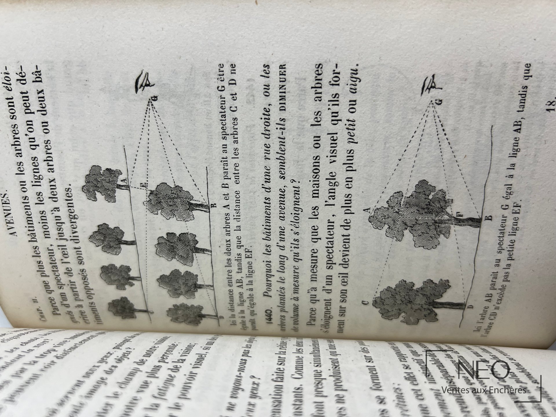 Page illustrée ouverte avec texte en français et schémas d’arbres