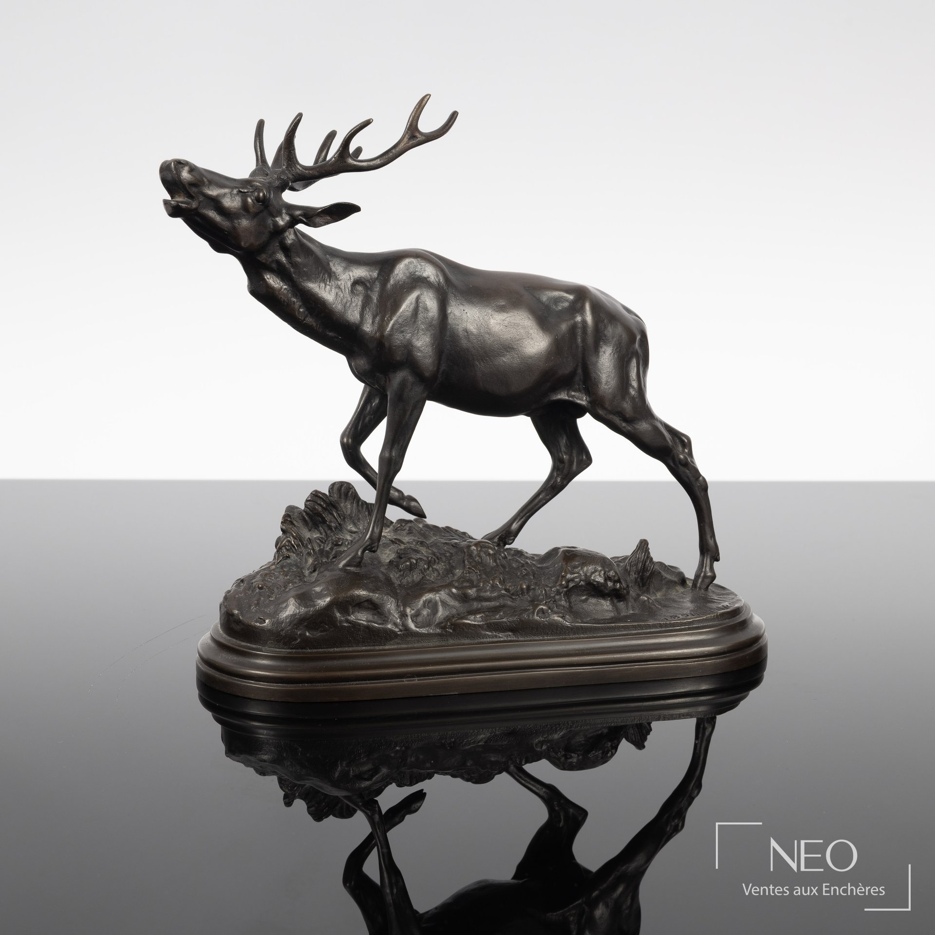 Cerf bramant en bronze à patine brune sur socle ovale