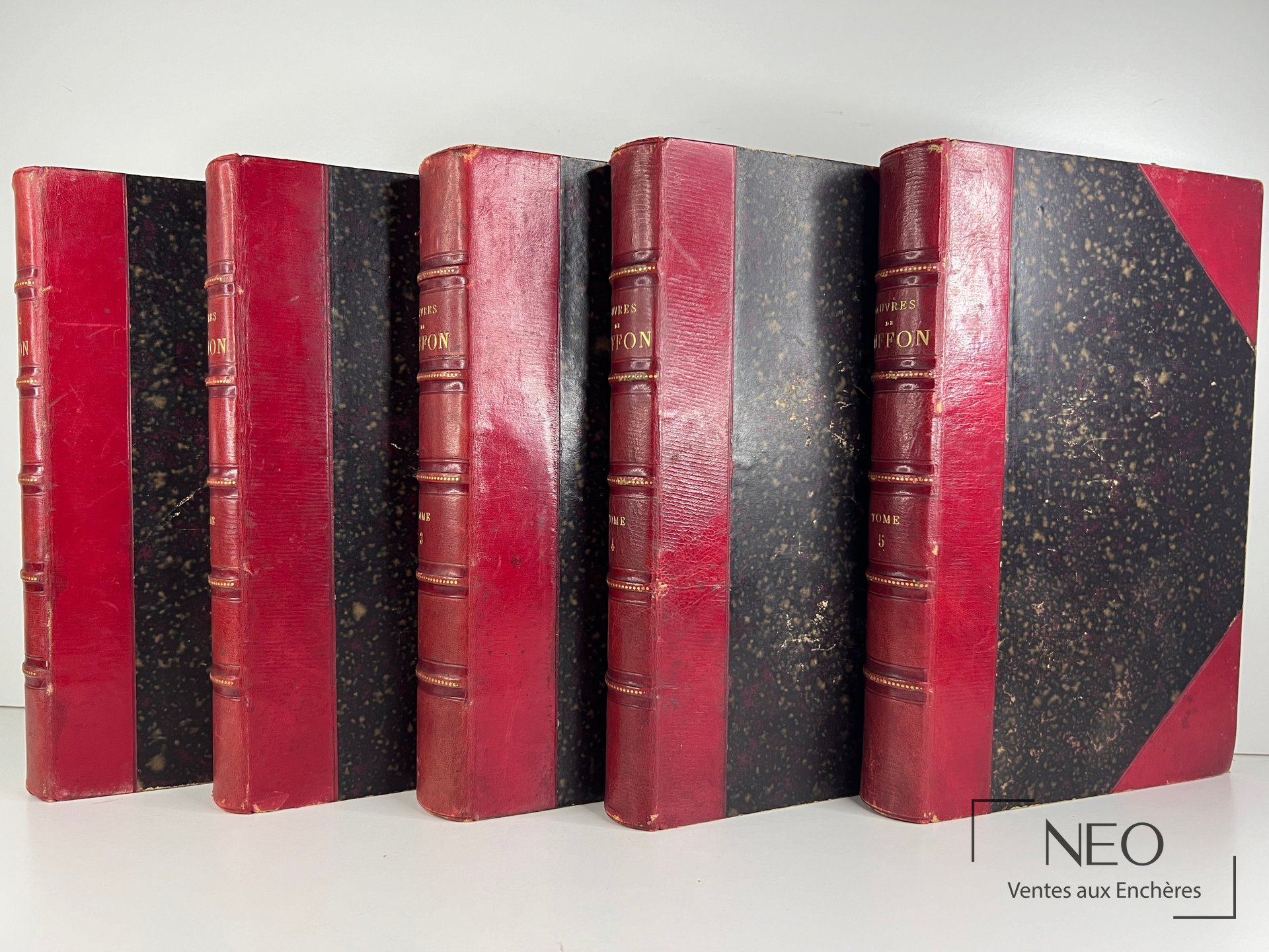 Cinq tomes reliés en demi maroquin cerise et papier marbré noir