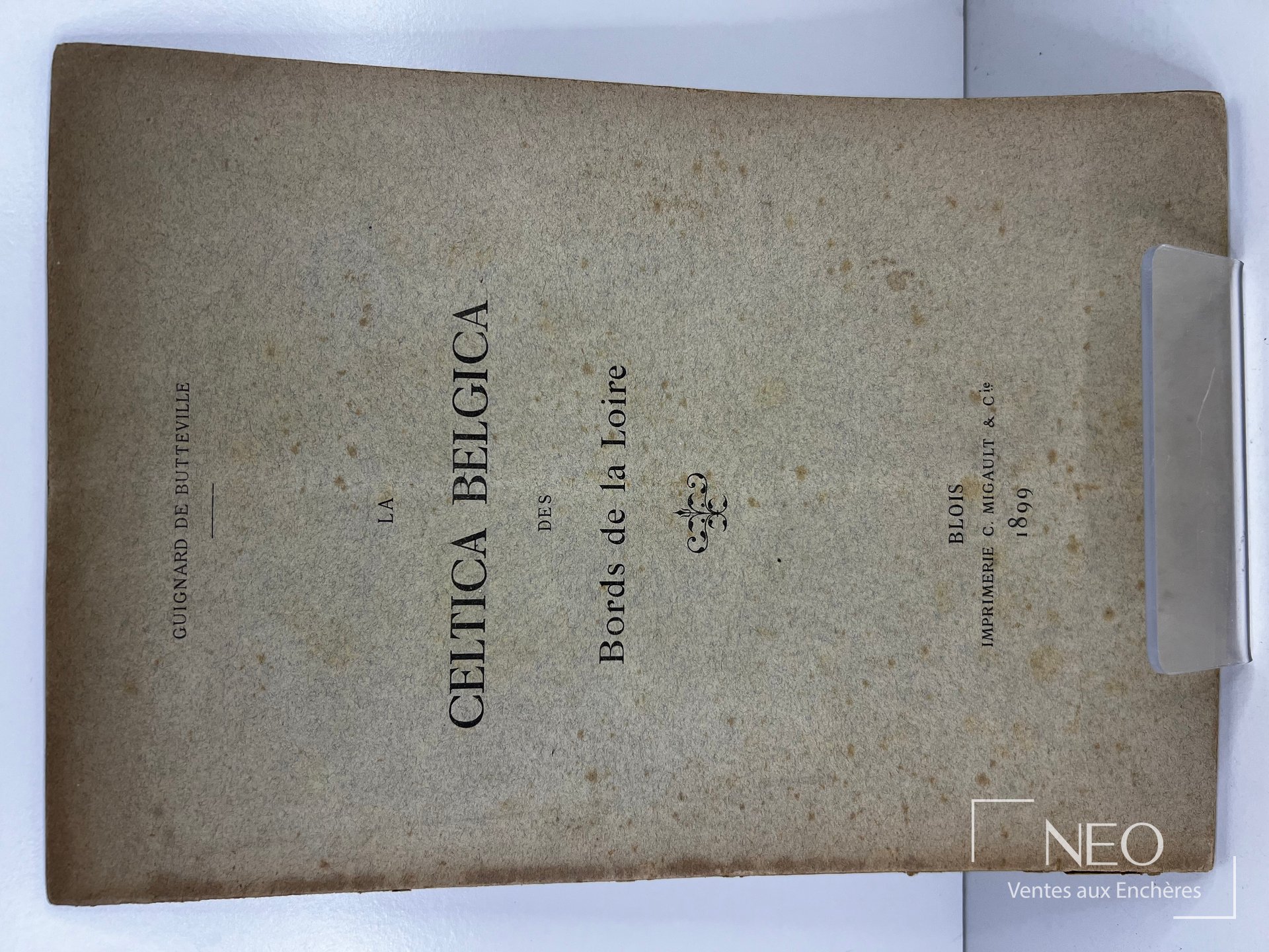 Couverture brunie du livre La celtica belgica des bords de la Loire