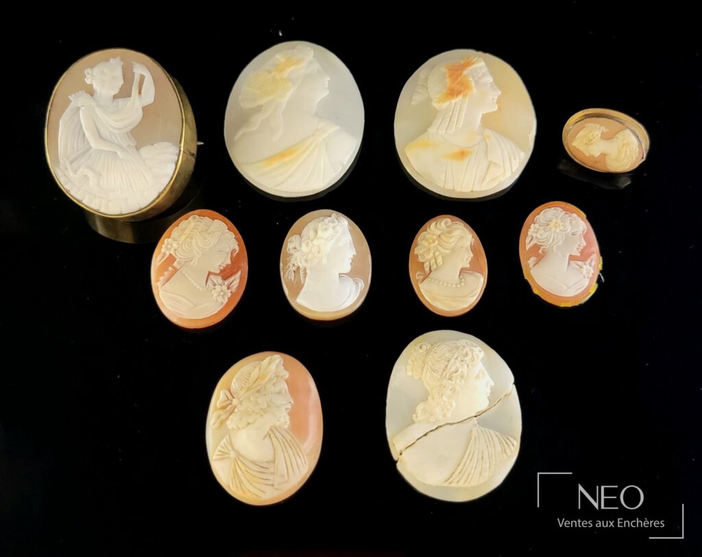 Neuf camées coquilles à profils féminins et un camée fendu sur fond noir