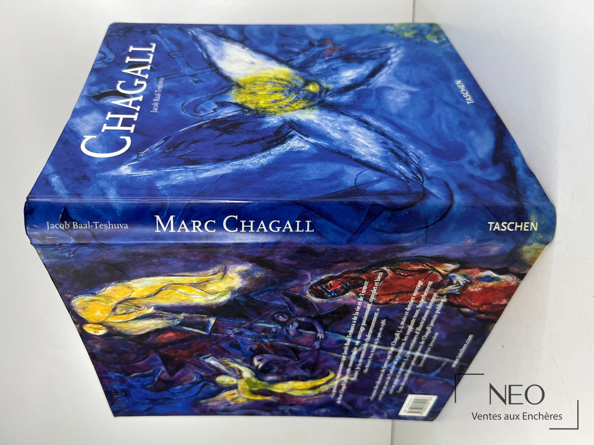 Couverture illustrée du livre Chagall de Jacob Baal-Teshuva