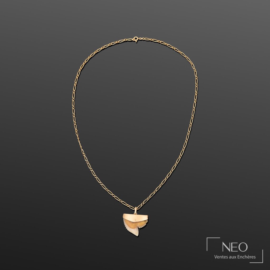 Chaîne en or jaune avec pendentif en forme de dent sur fond gris