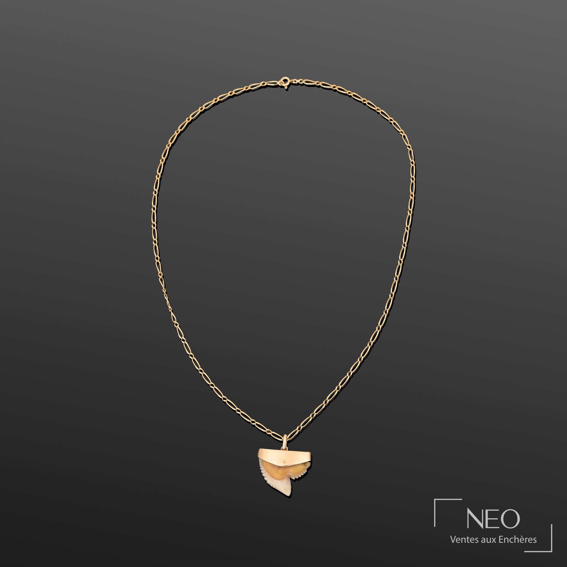 Chaîne en or jaune avec pendentif en forme de dent sur fond gris