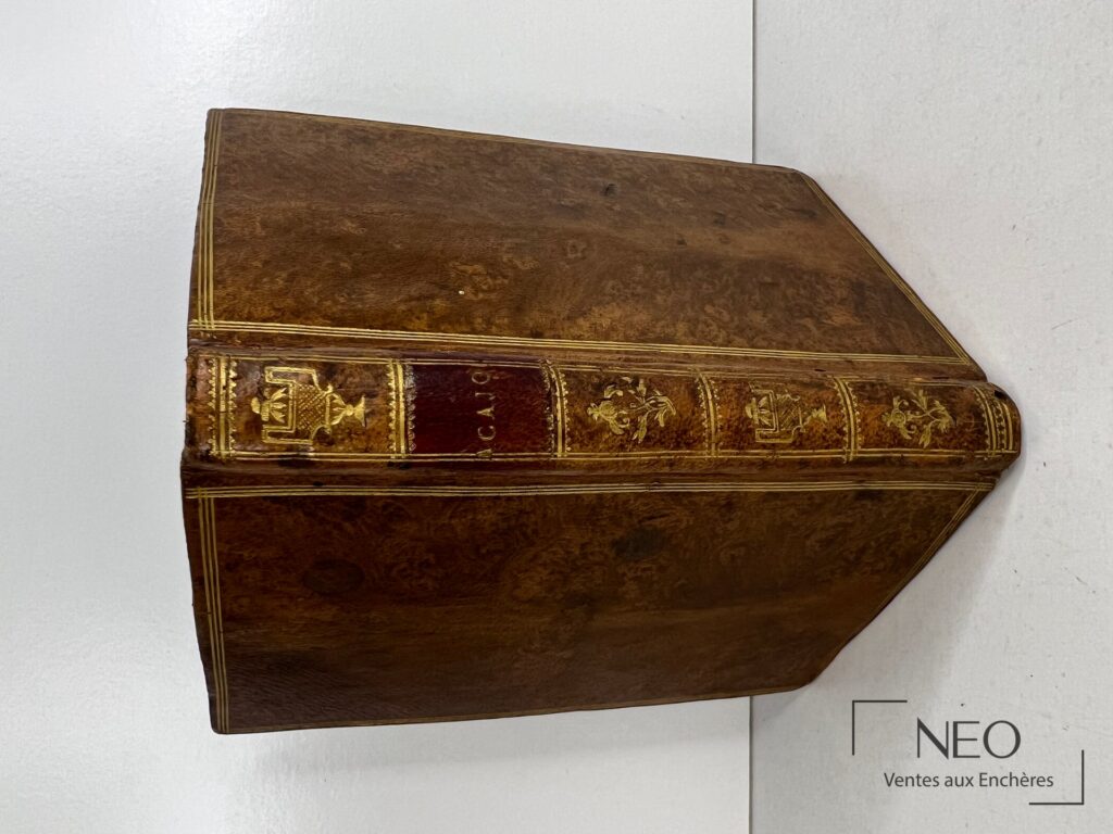 Dos d’un livre ancien en plein veau brun