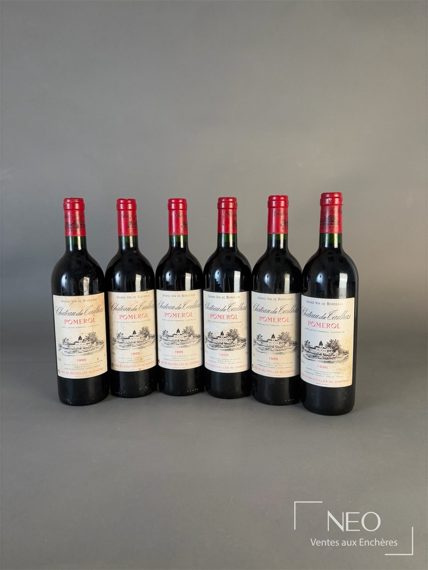 6 bouteilles de Pomerol Château du Tailhas 1995 et 1996