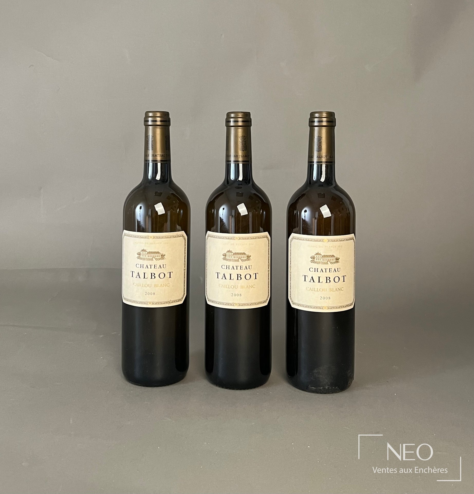 Château Talbot Caillou Blanc 2008, 3 bouteilles de Bordeaux blanc