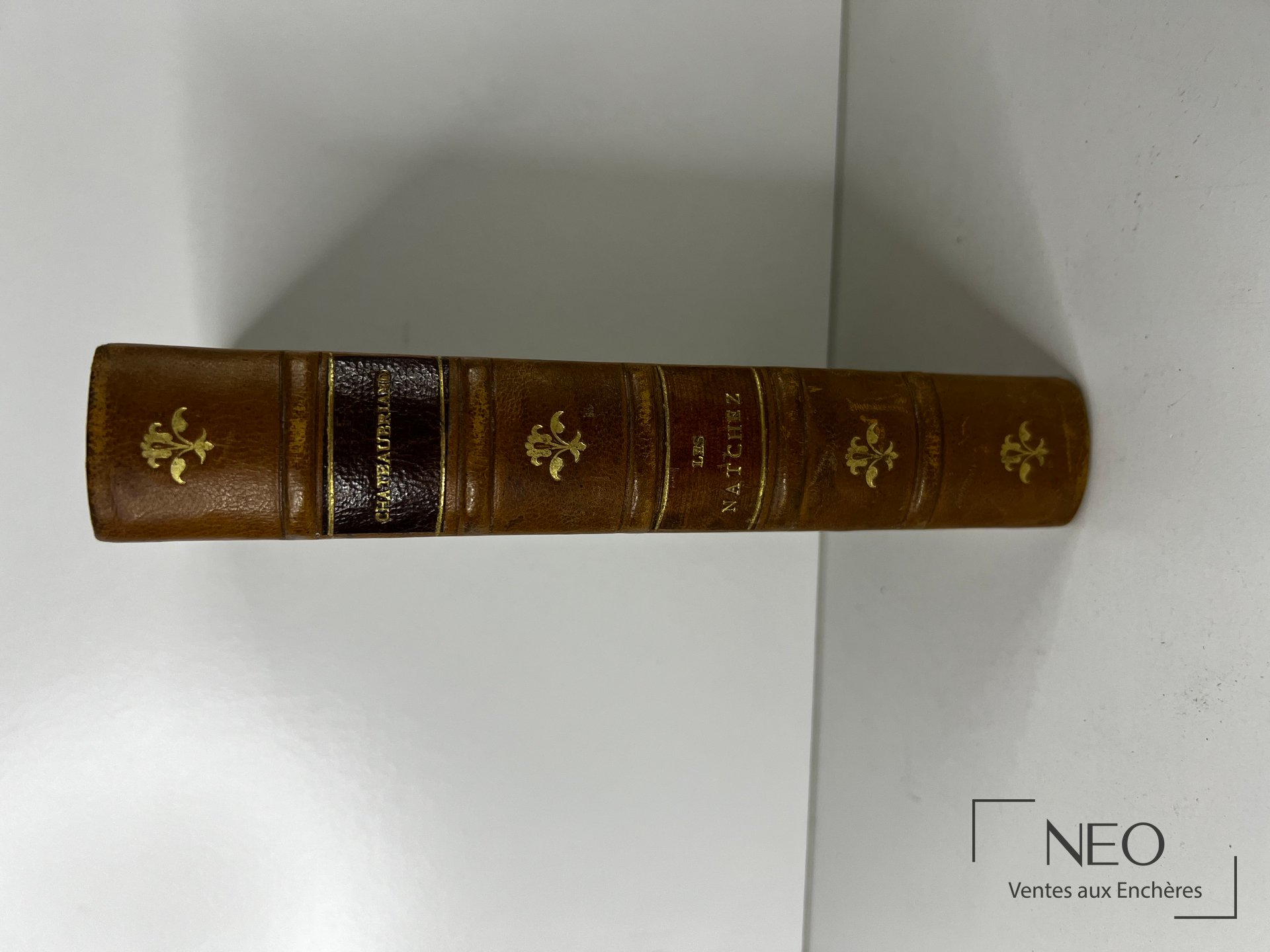 Dos d'un livre ancien en demi basane avec nerfs