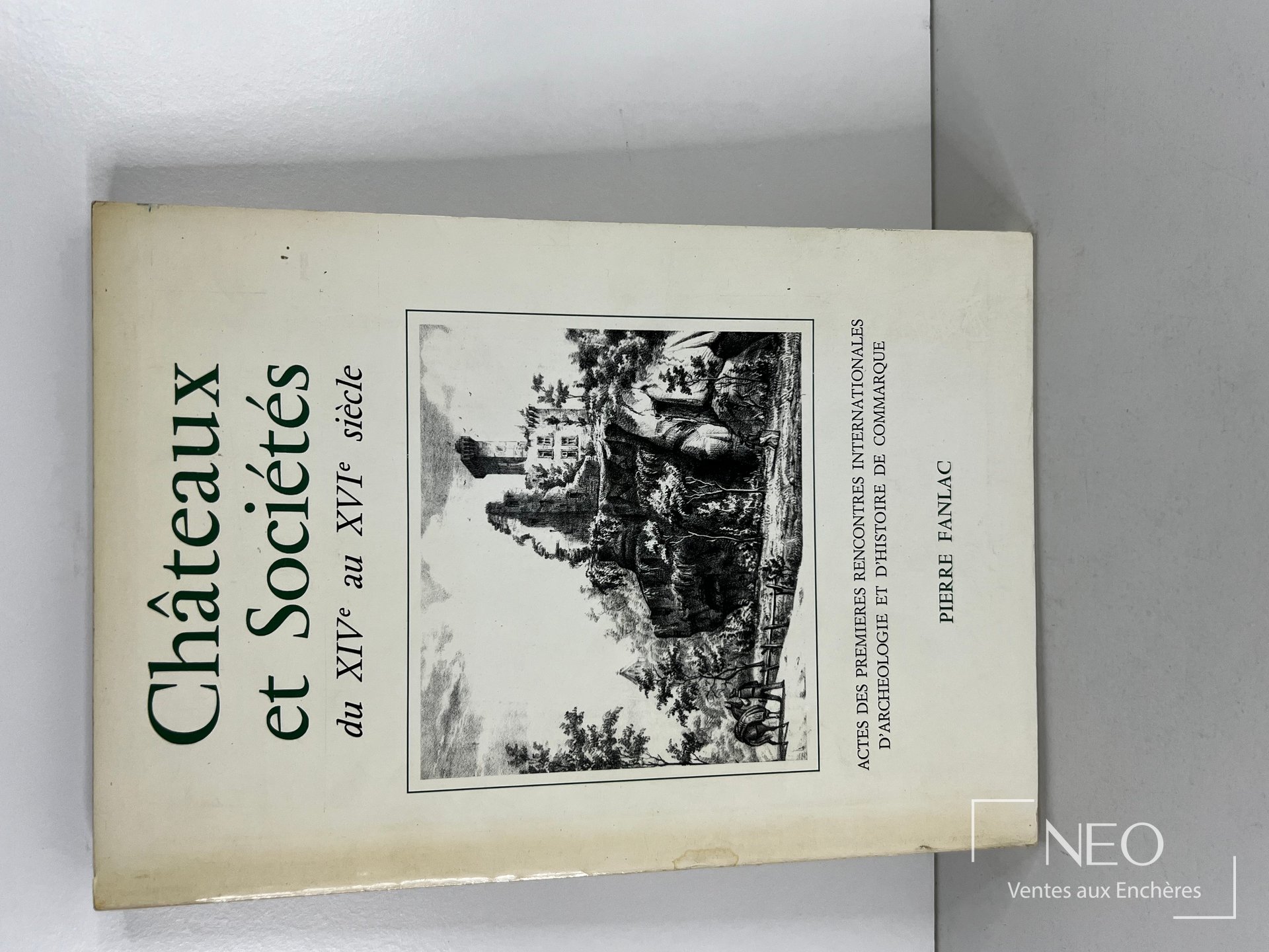 Couverture du livre Châteaux et Sociétés du XIVe au XVIe siècle