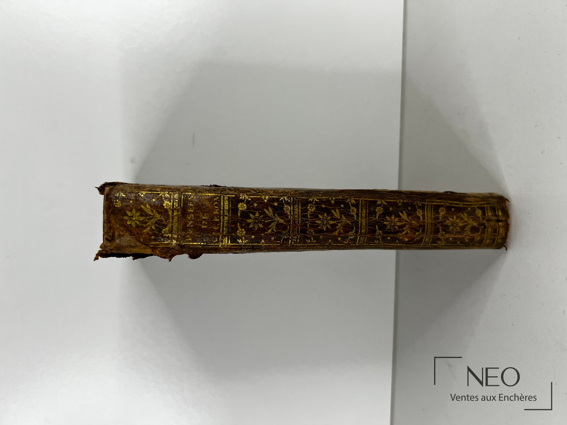 Dos en basane ornée de caissons dorés et de motifs floraux