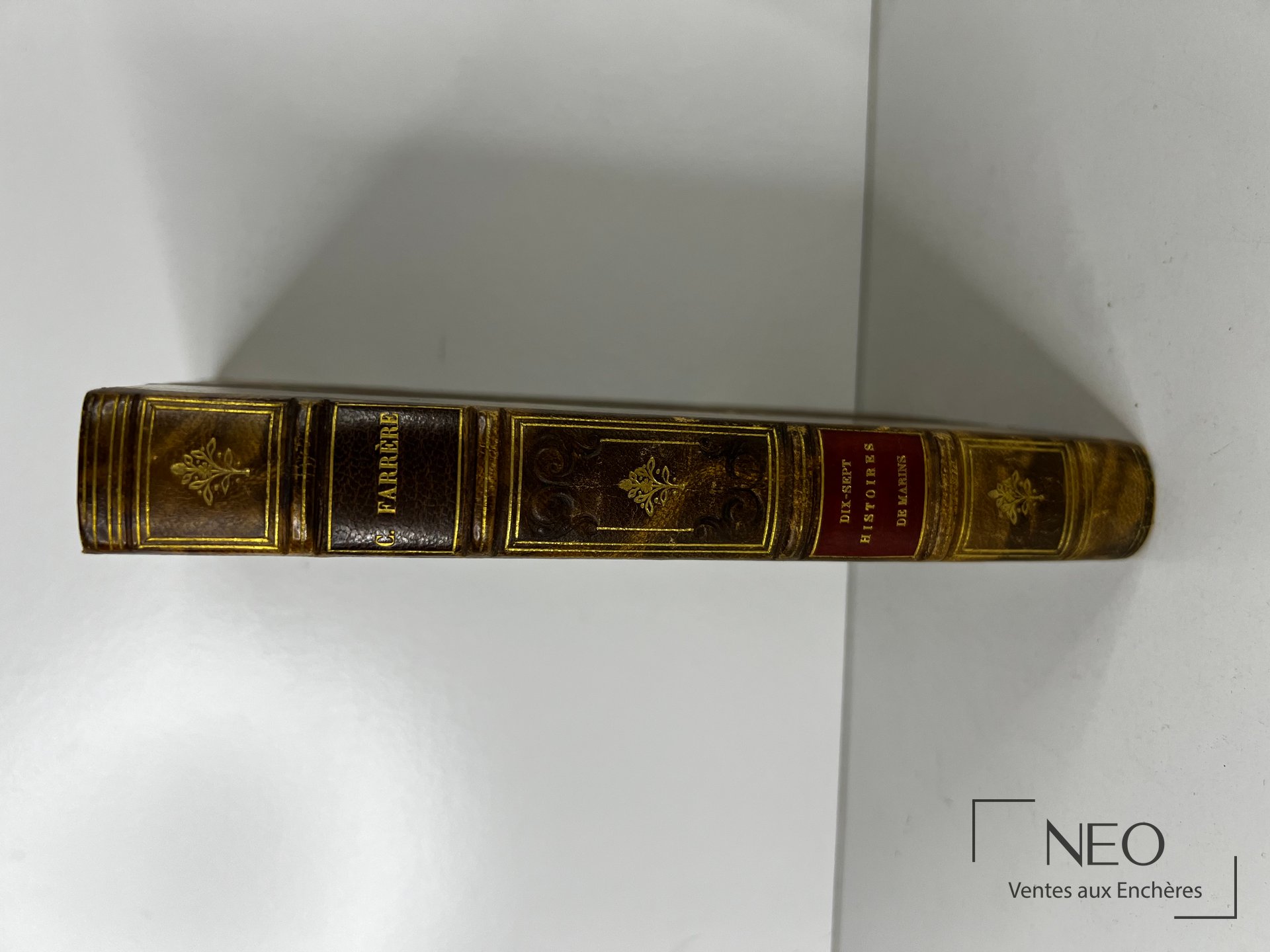 Dos de livre ancien en demi basane à coins