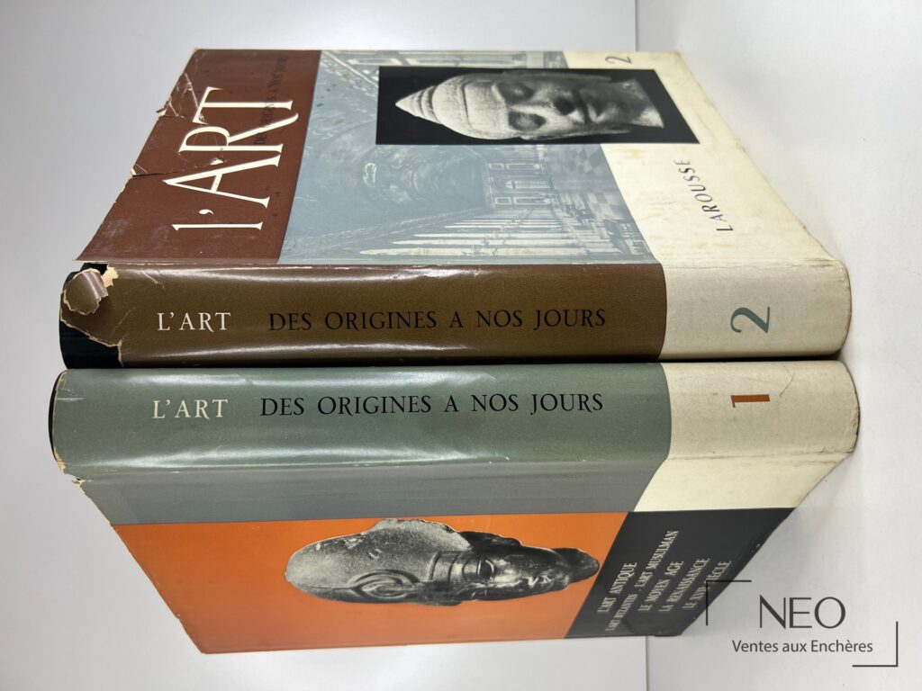 Les deux volumes de L'art des Origines à nos jours