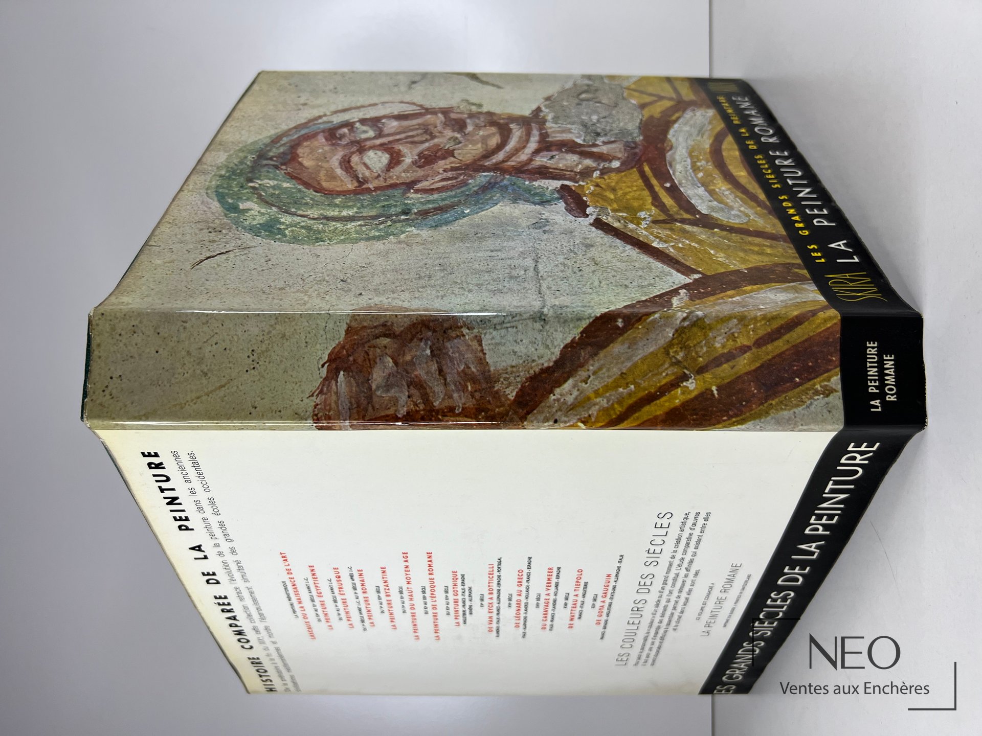 Couverture illustrée du livre La peinture Romane de Skira