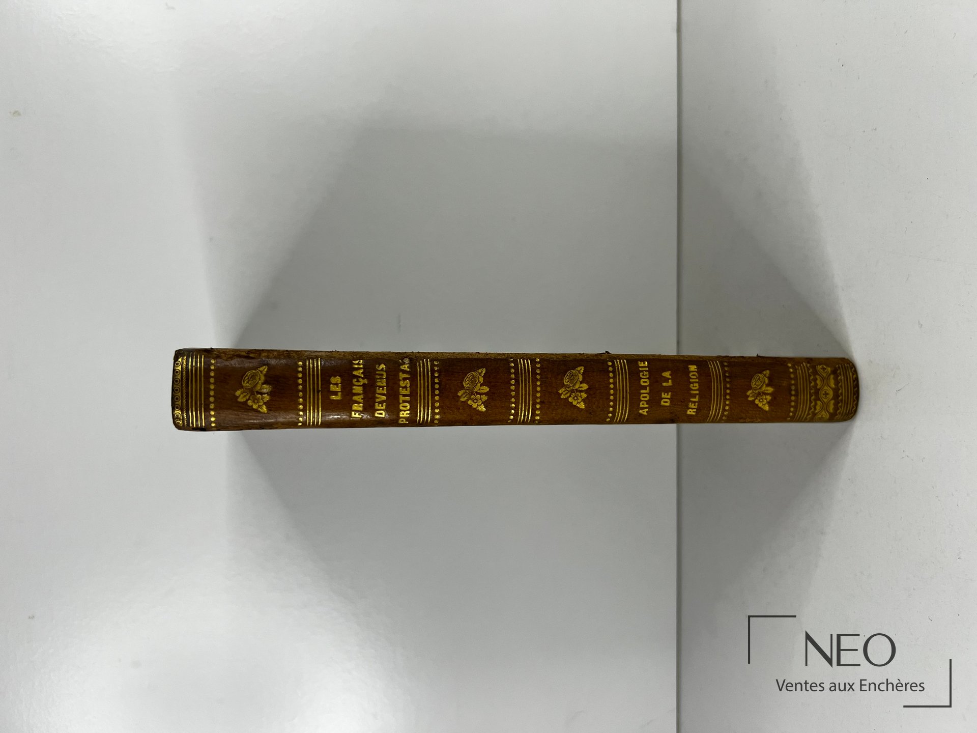 Dos en demi chagrin brun avec nerfs et motifs dorés