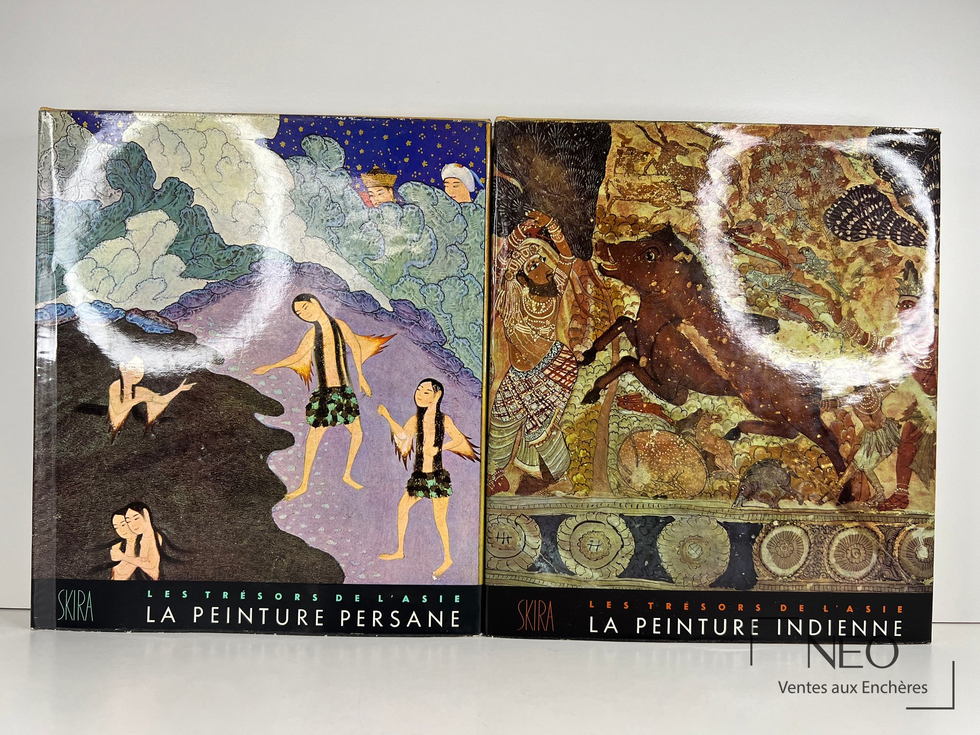 Deux volumes Skira illustrés