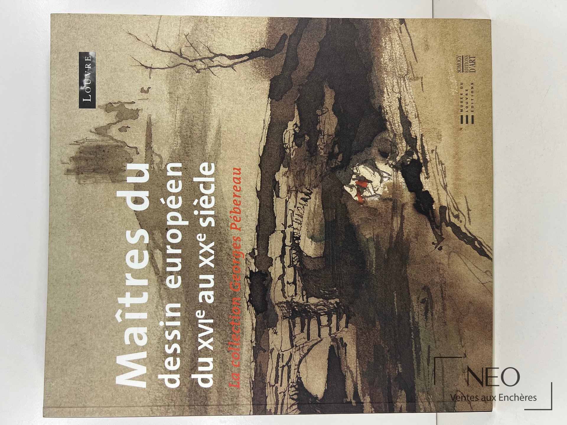 Couverture illustrée du livre Maîtres du dessin européen du XVIe au XXe siècle