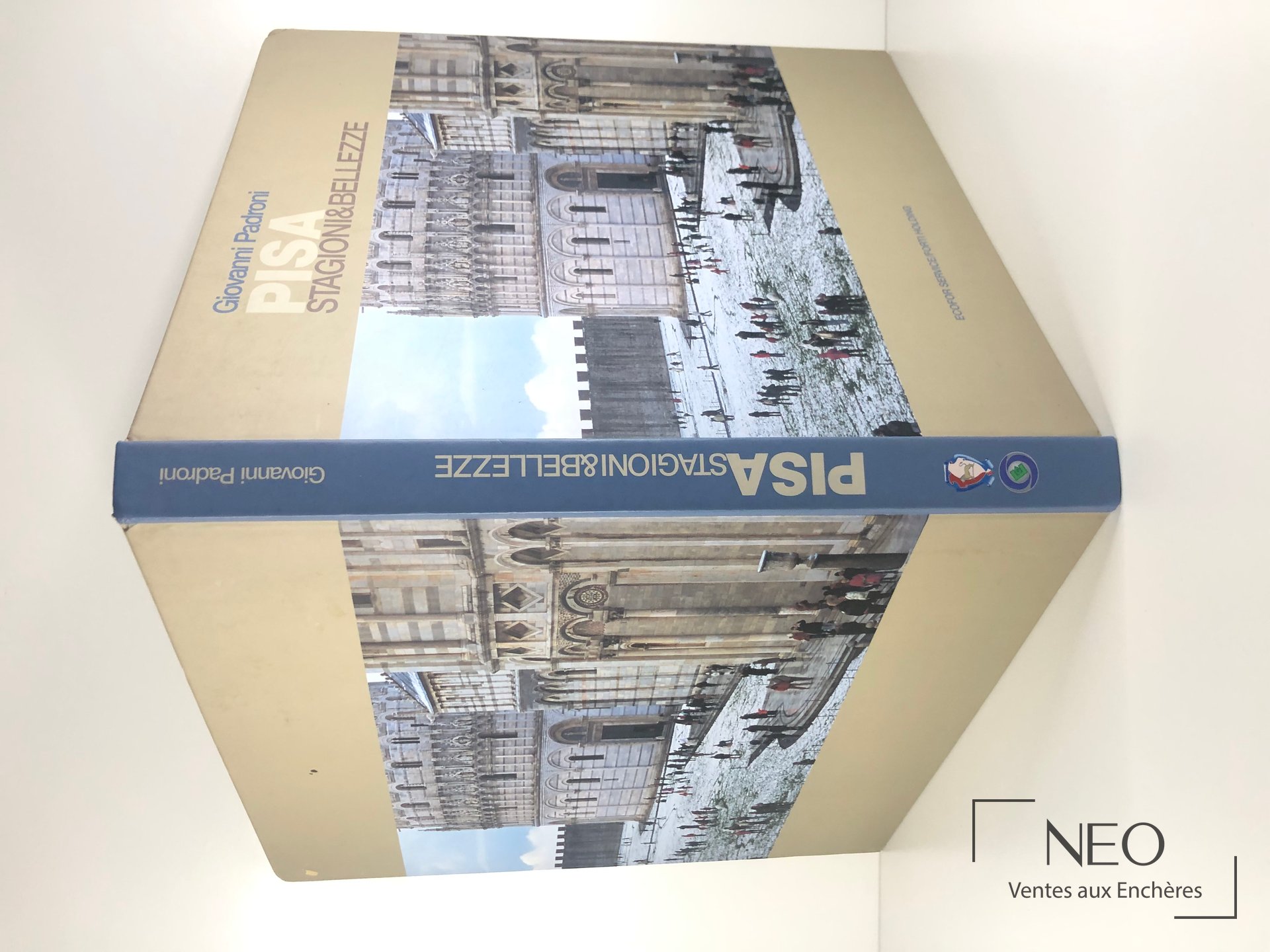 Couverture illustrée du livre Pisa. Stagioni & bellezze sur fond beige