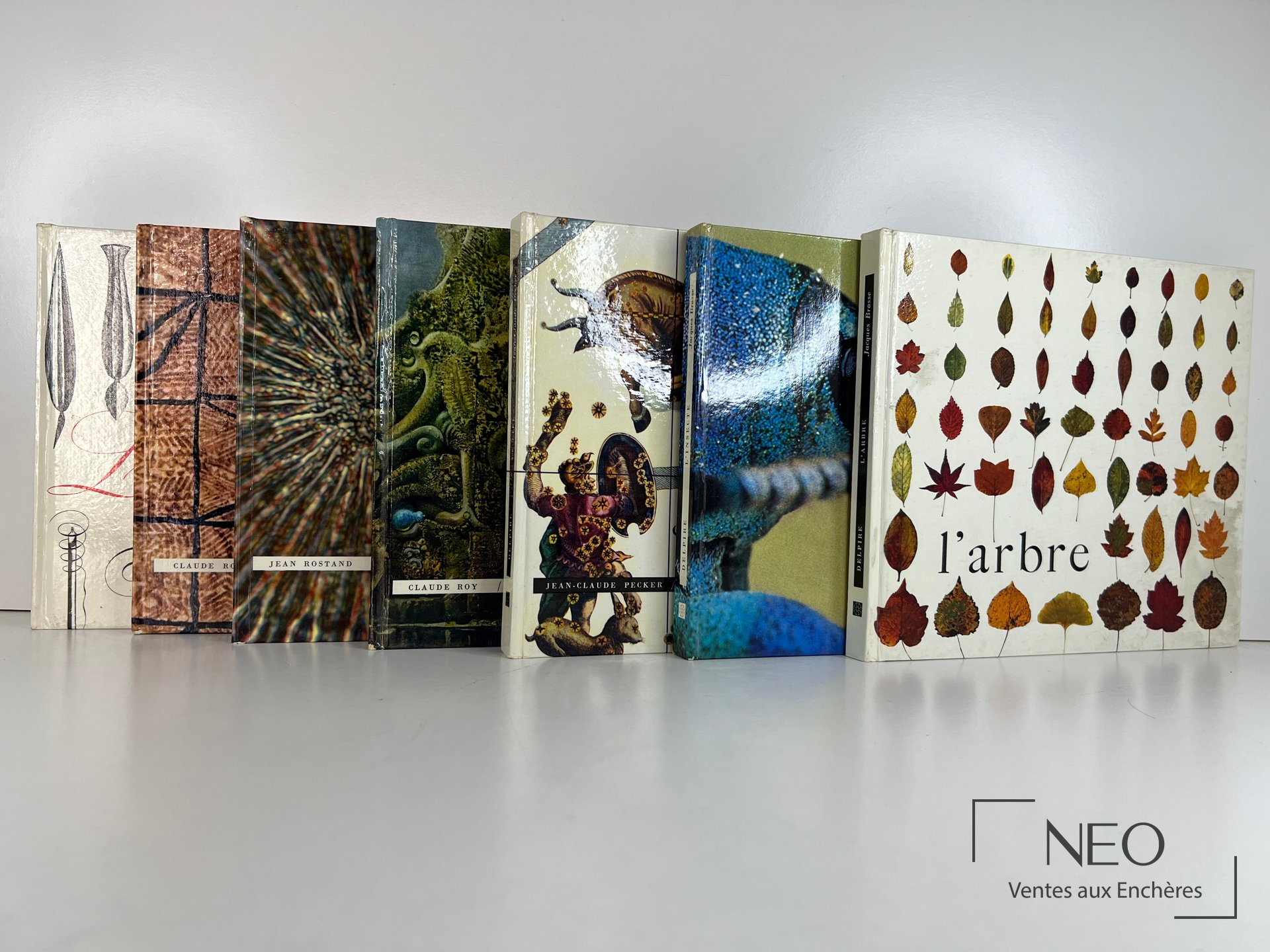 Sept volumes illustrés de la Collection Encyclopedie Essentielle alignés de face