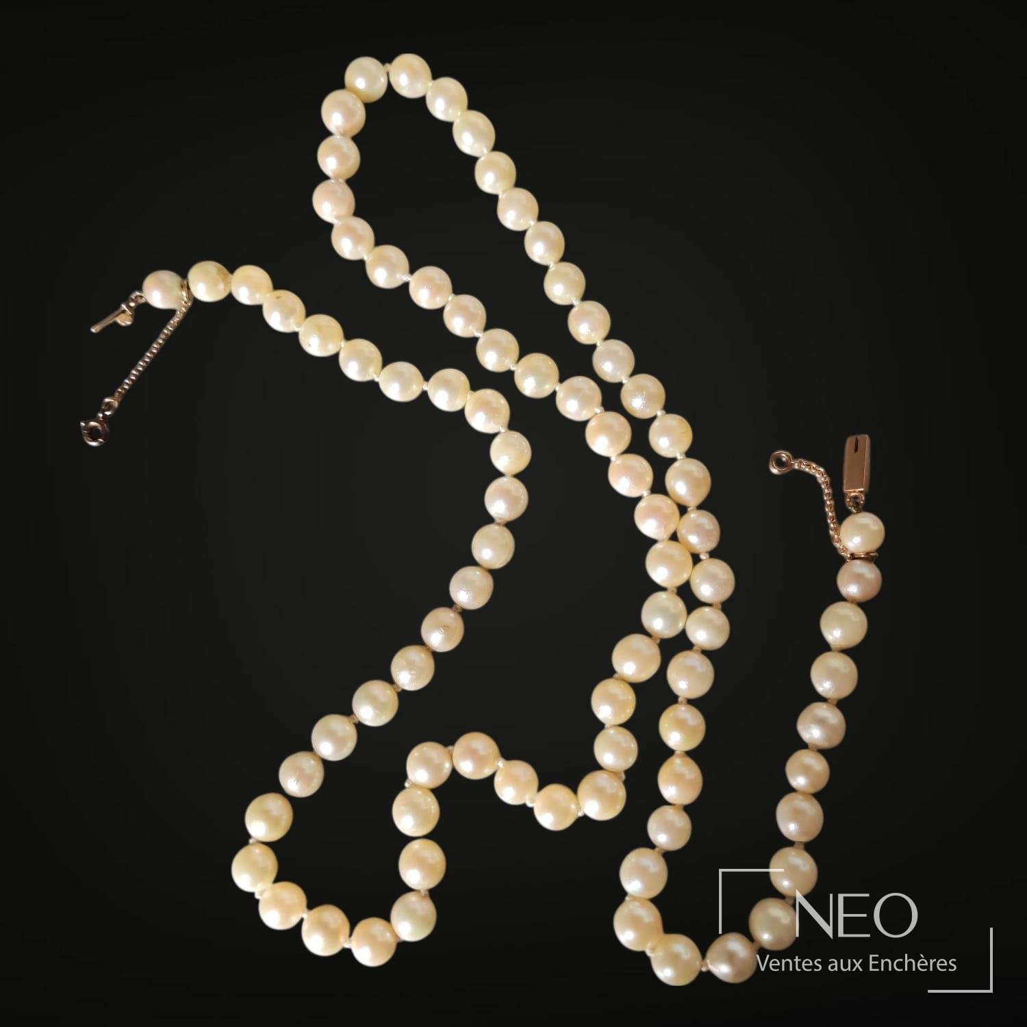 Collier choker de perles de culture blanches sur fond noir