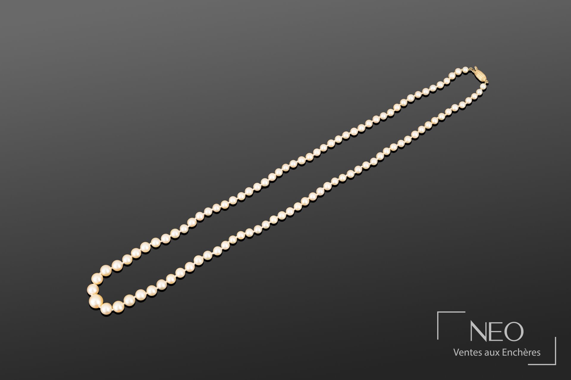 Collier de perles de culture blanches disposées en chute sur fond gris