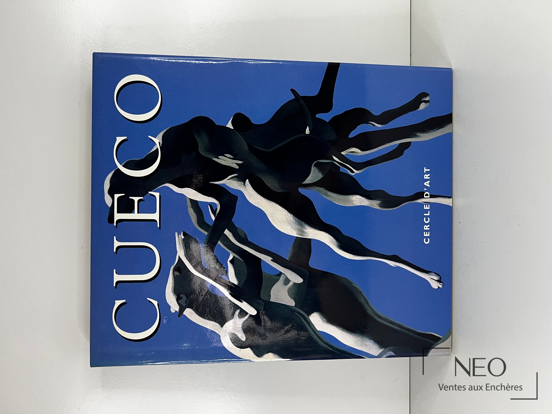 Couverture bleue du catalogue COOLECTIF. Cueco avec jaquette illustrée