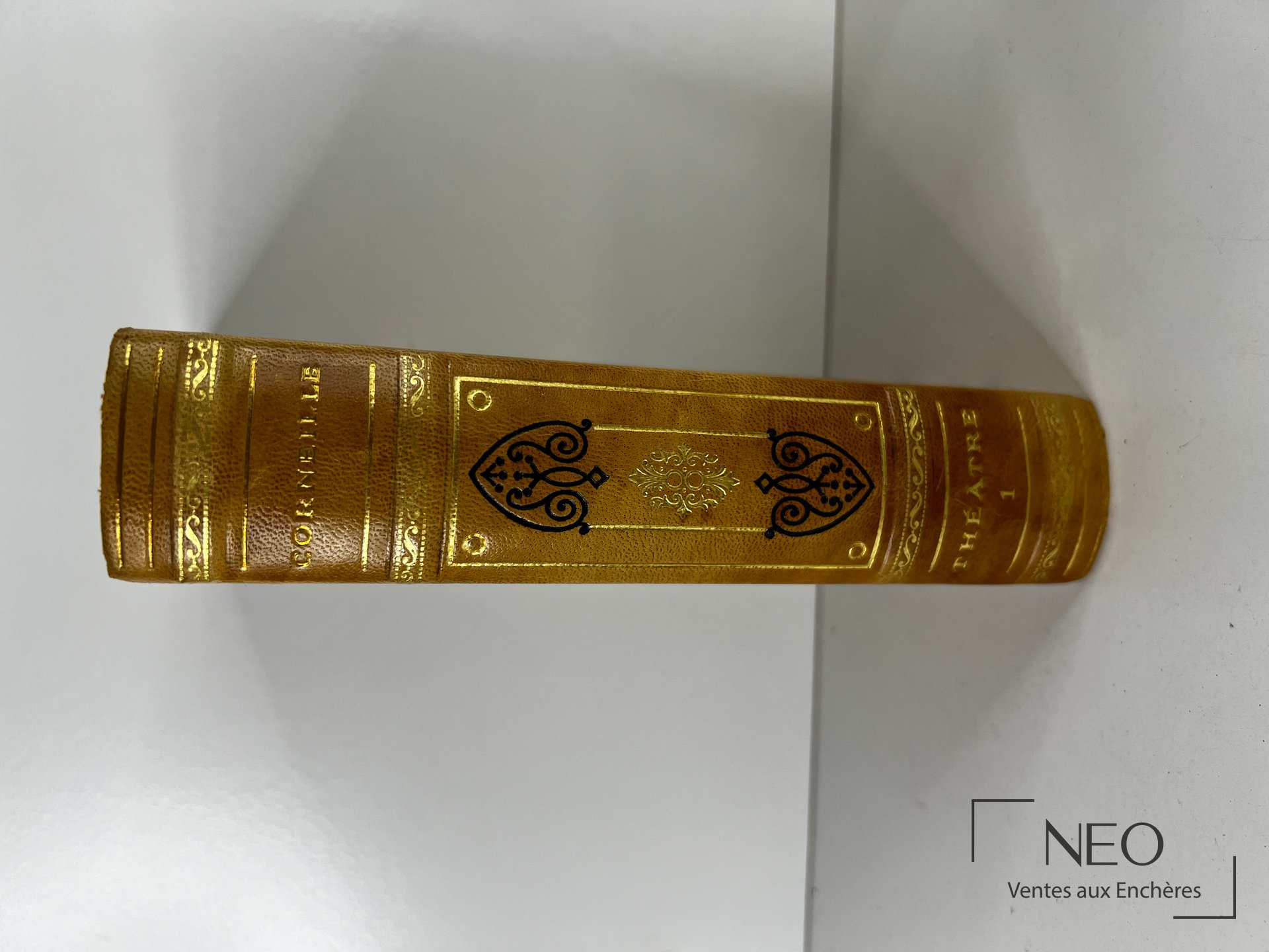Dos en demi chagrin beige avec nerfs et motifs dorés