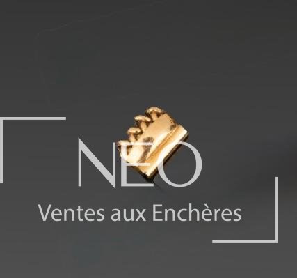 Débris en or jaune 18K, élément de bracelet de montre