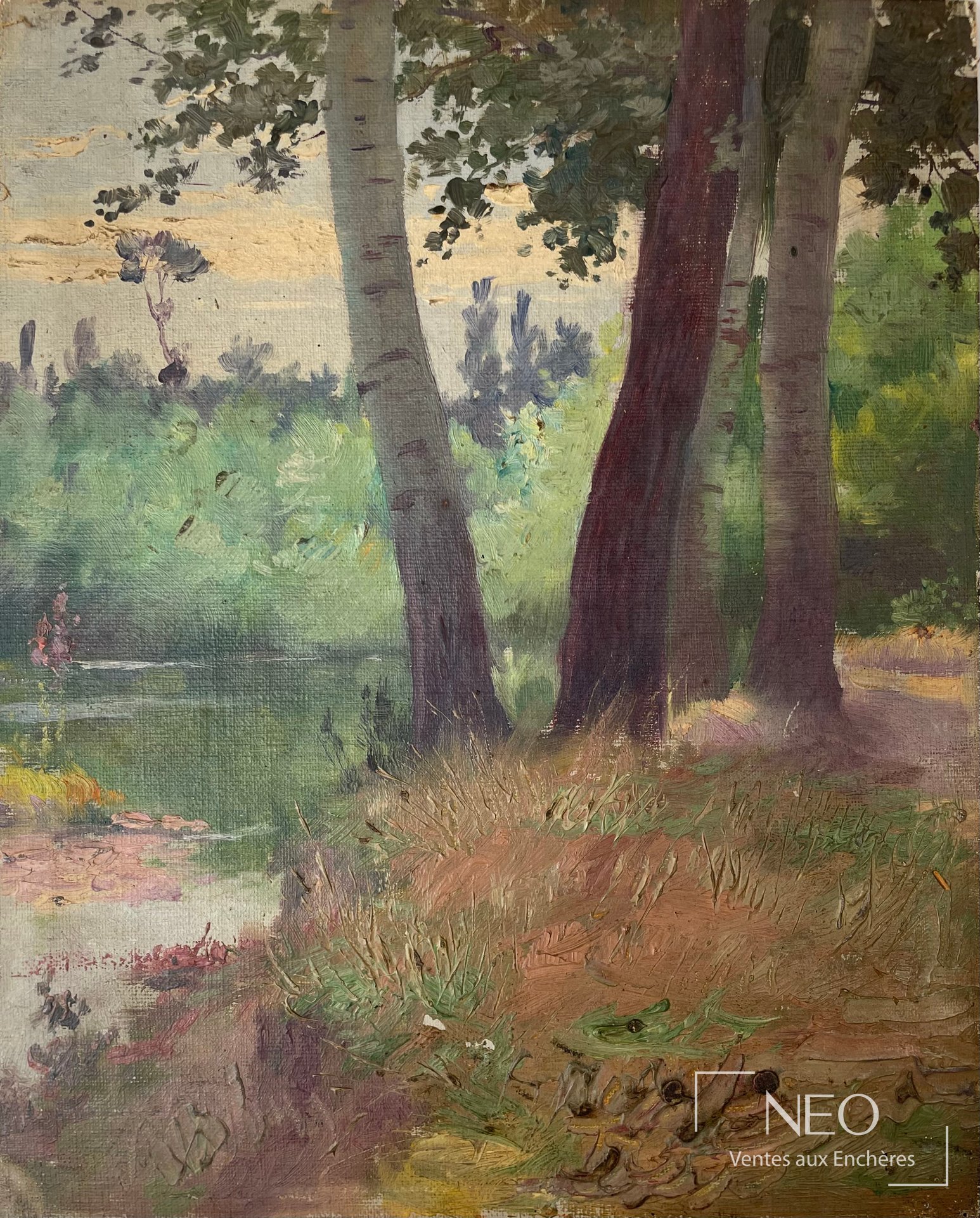 Paysage d’arbres au bord d’une rivière