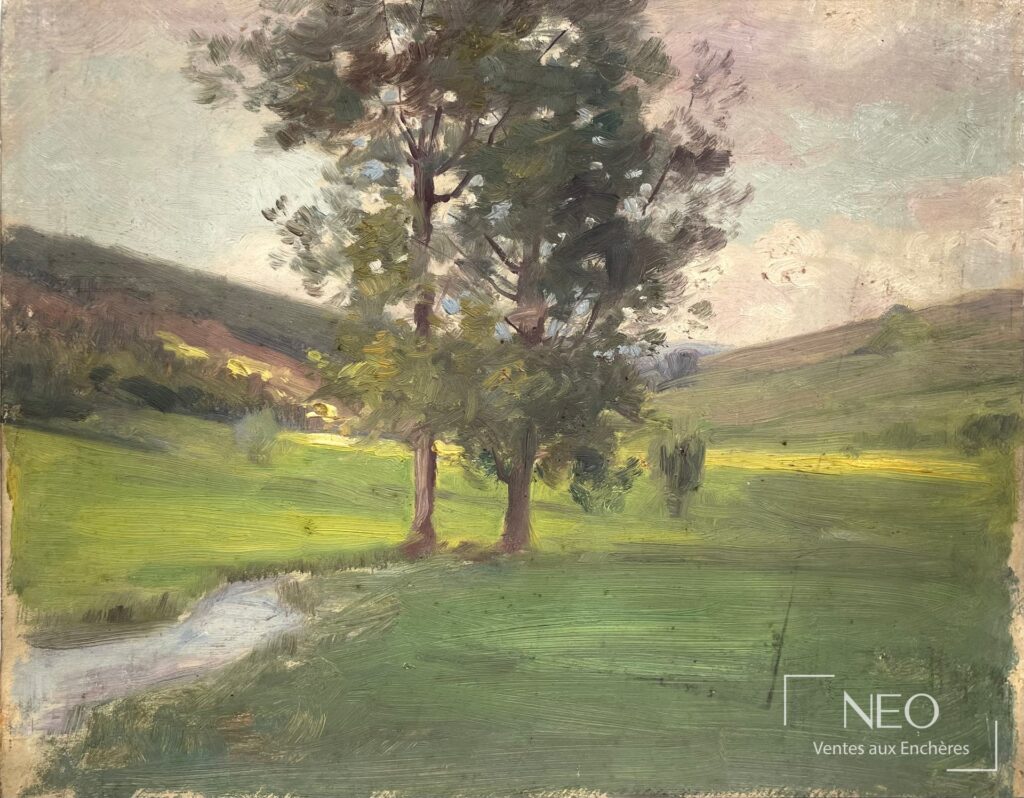 Paysage avec arbres au premier plan dans une prairie