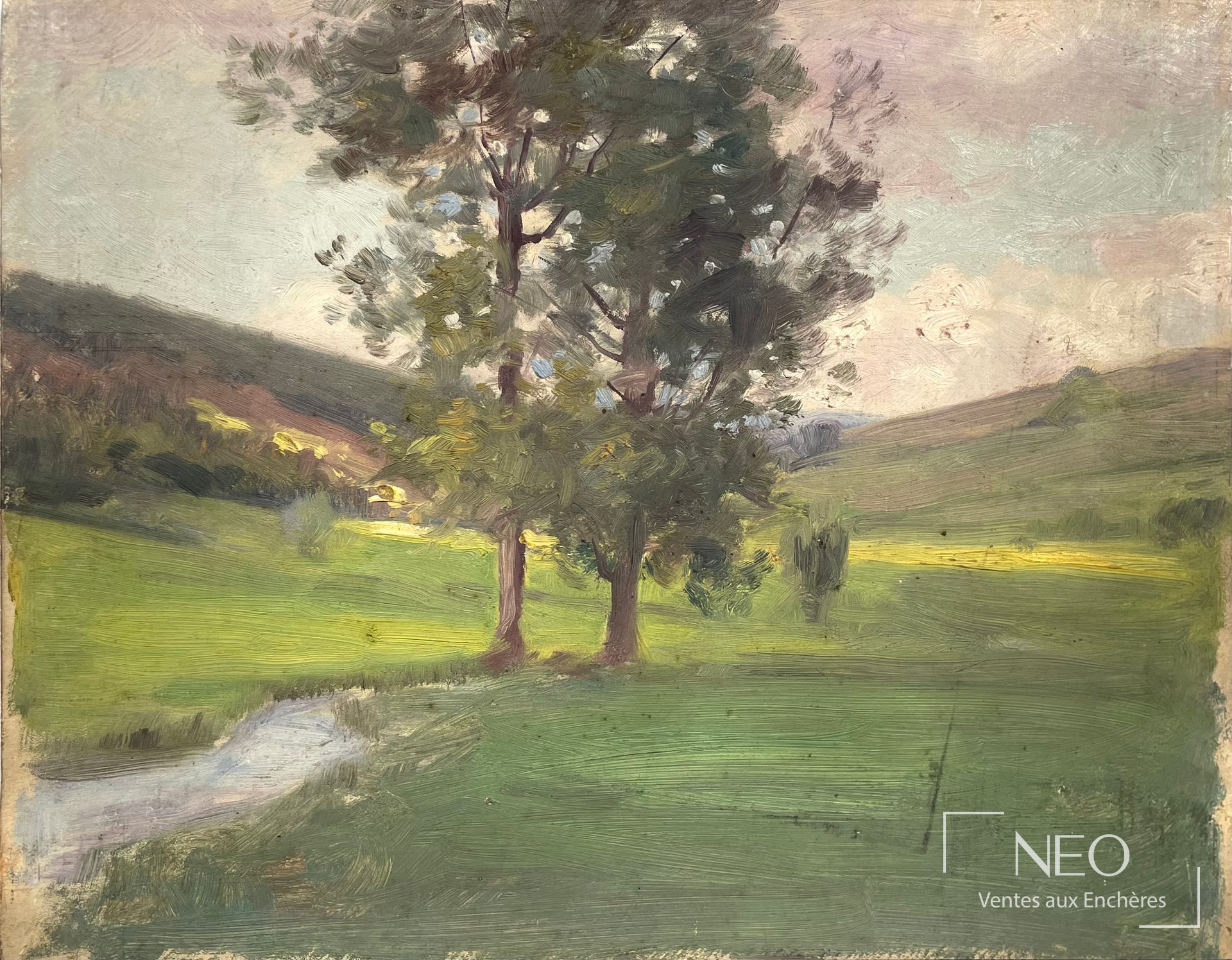 Paysage avec arbres au premier plan dans une prairie